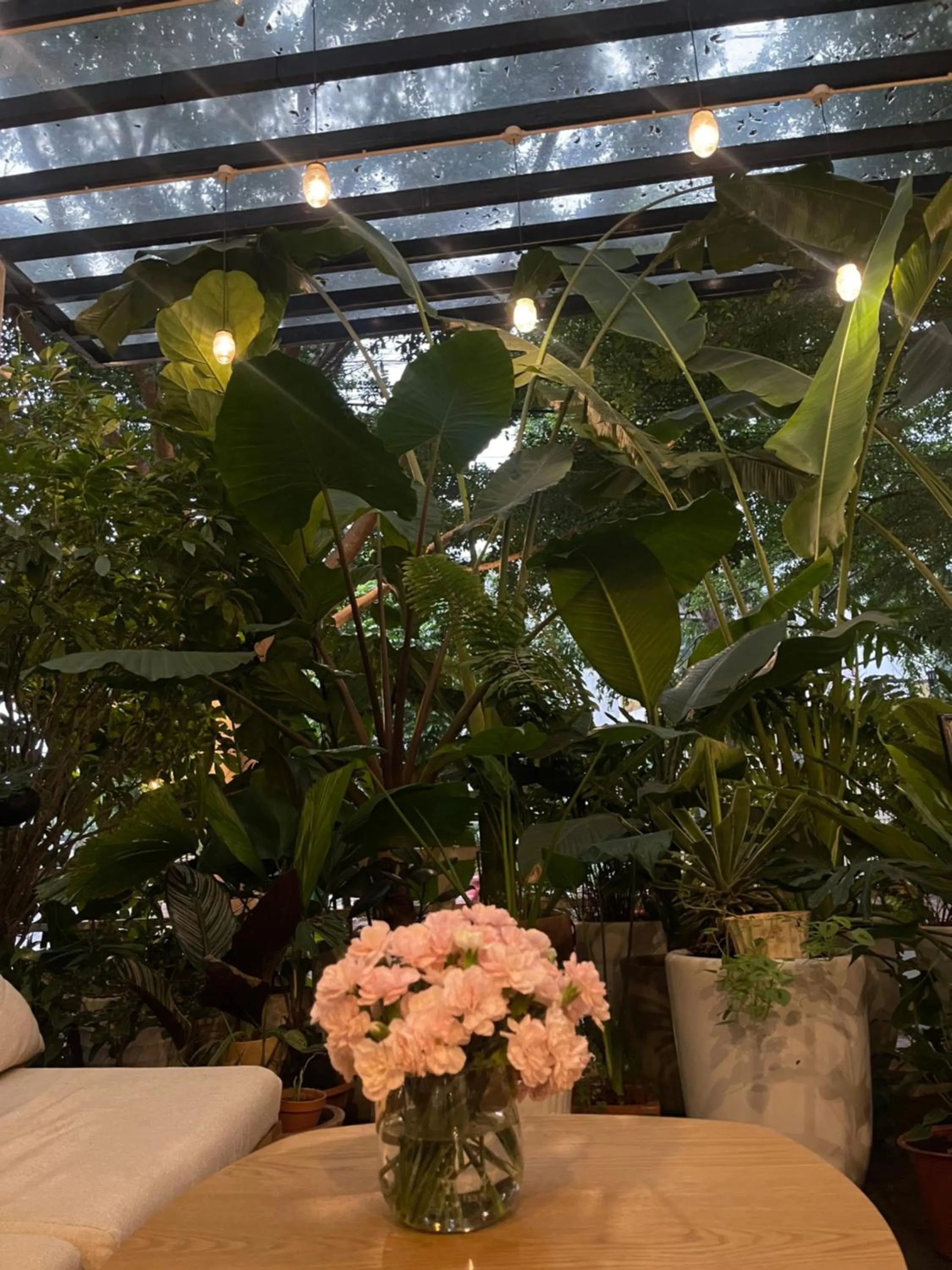 Garden in The Highland House