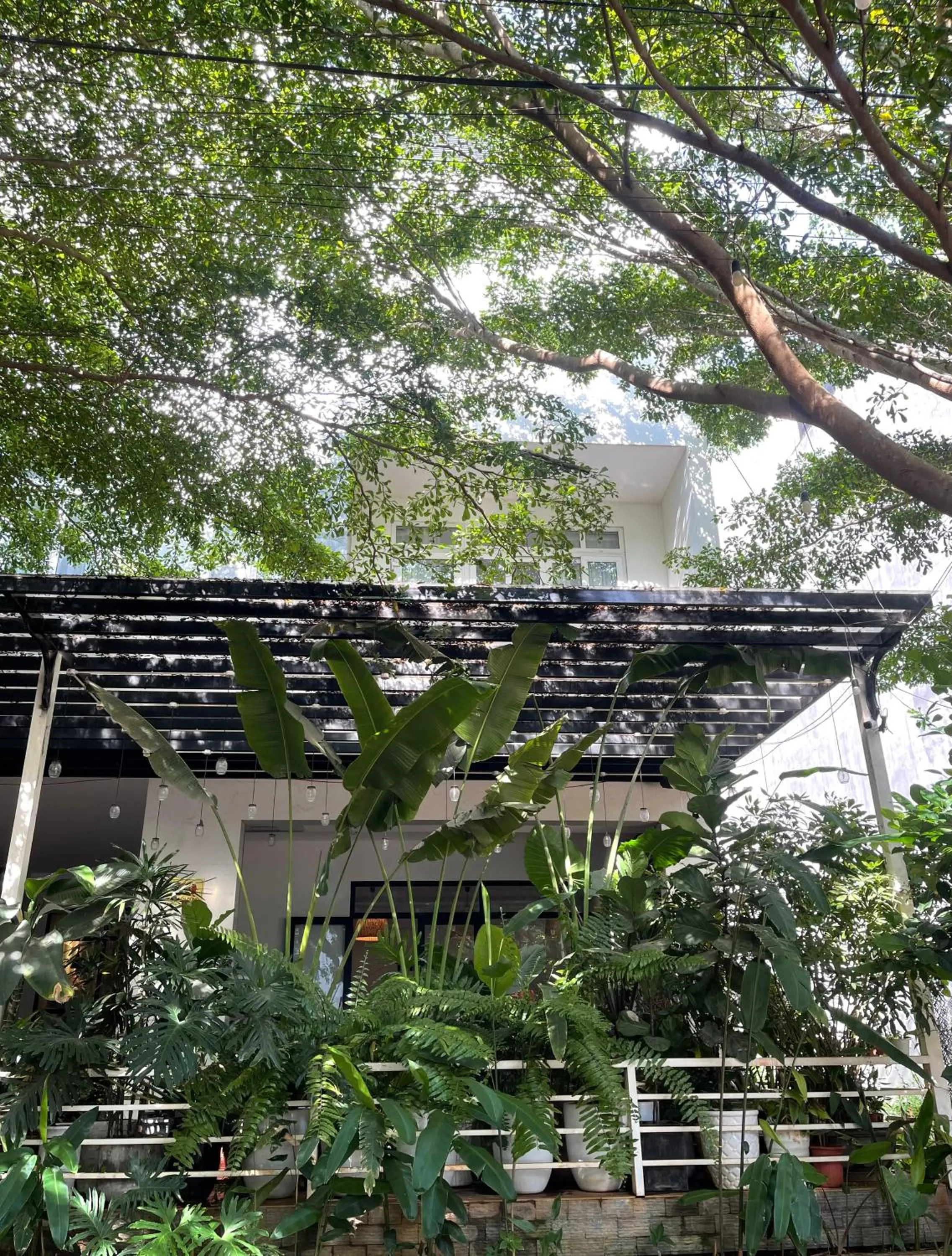 Property building in The Highland House