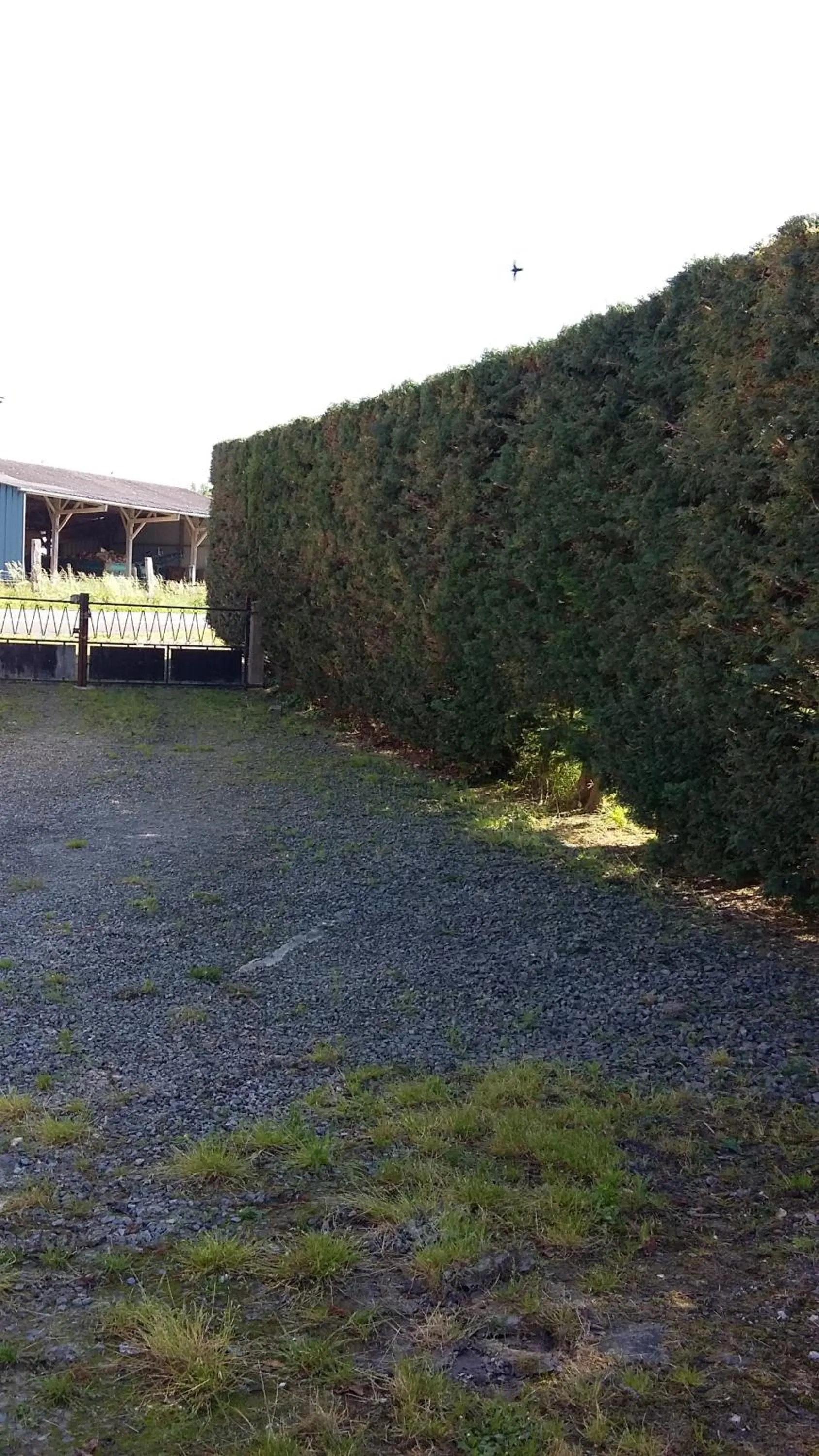 Area and facilities in Ferme de la Ruette