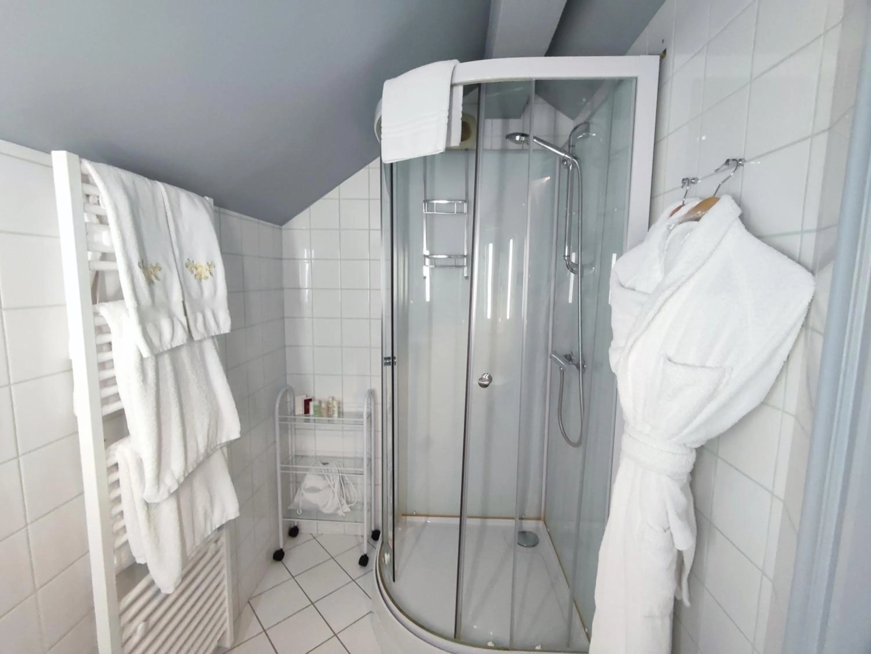 Shower in Le Manoir Au Lac