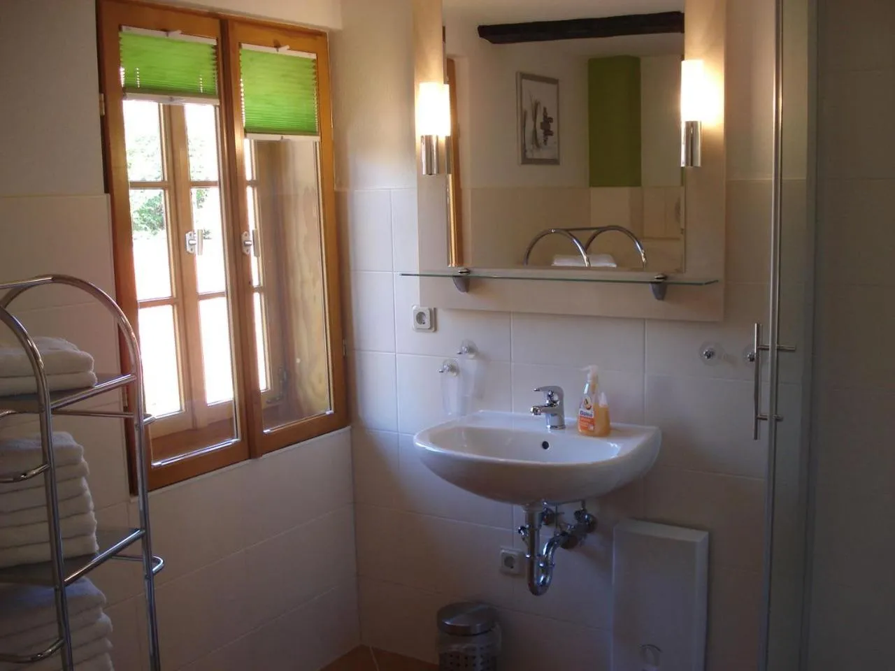 Shower in Ferienhaus am Oeringer Tor