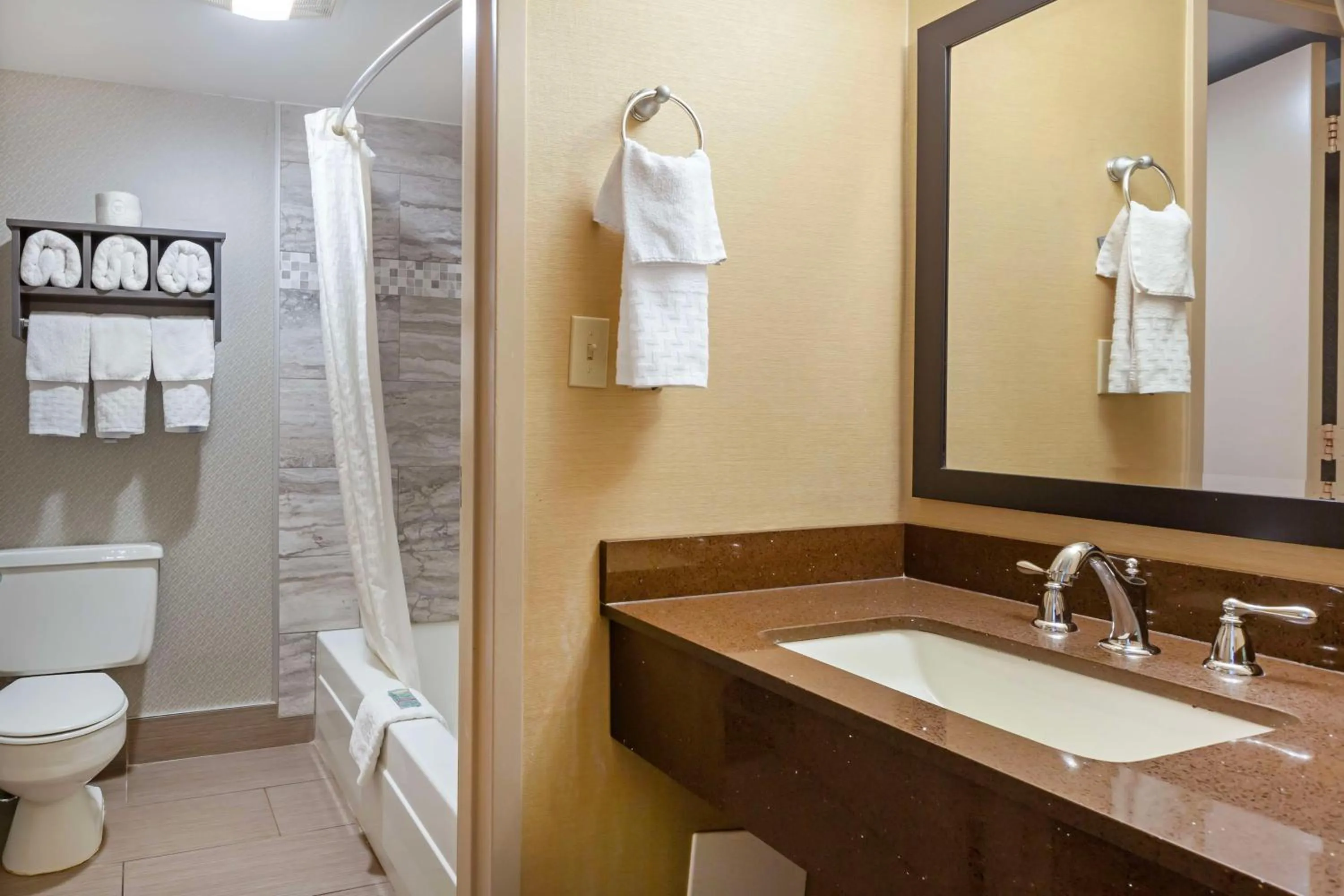 Bathroom in Best Western Summit Inn