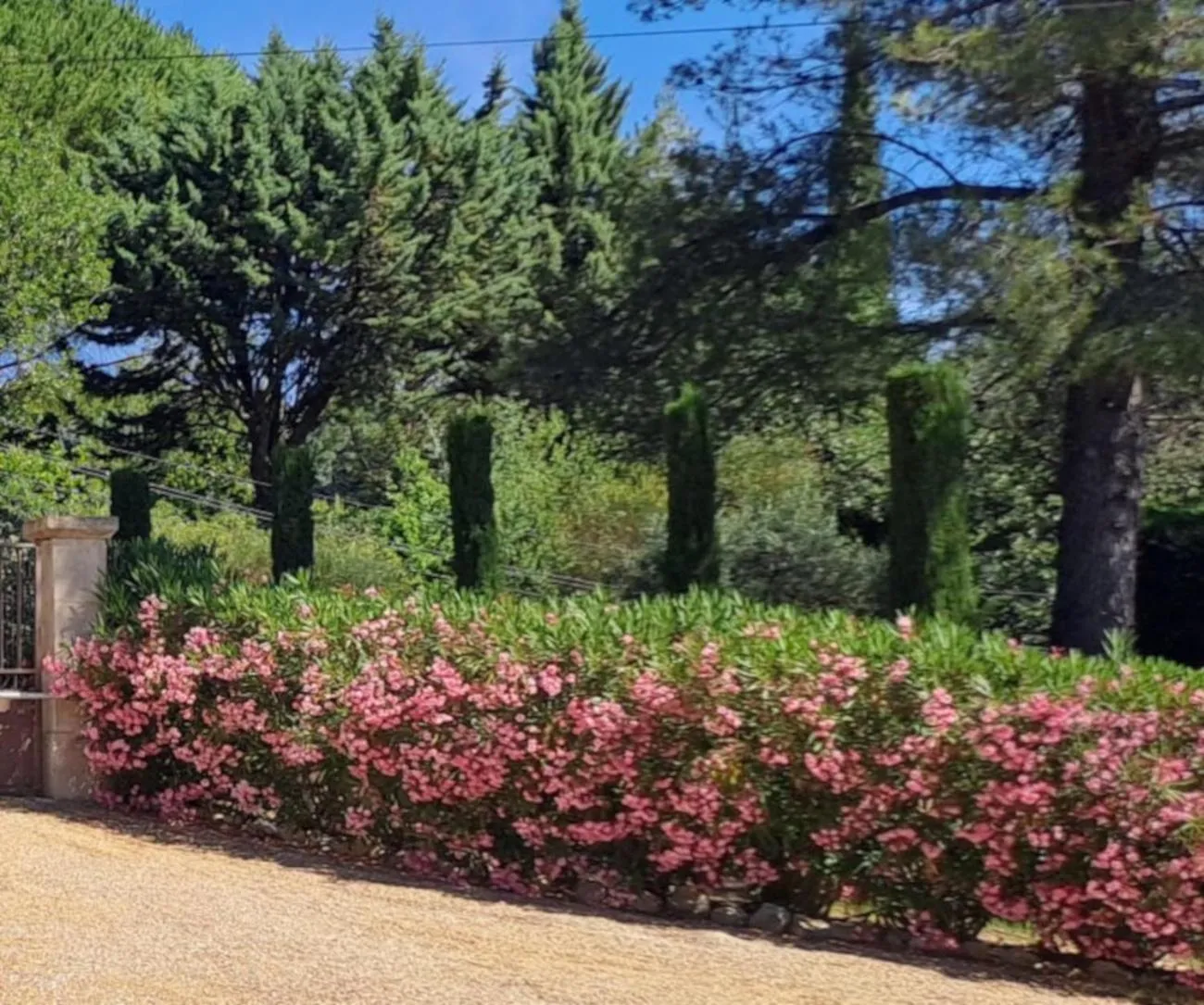 Garden in Les Cerises