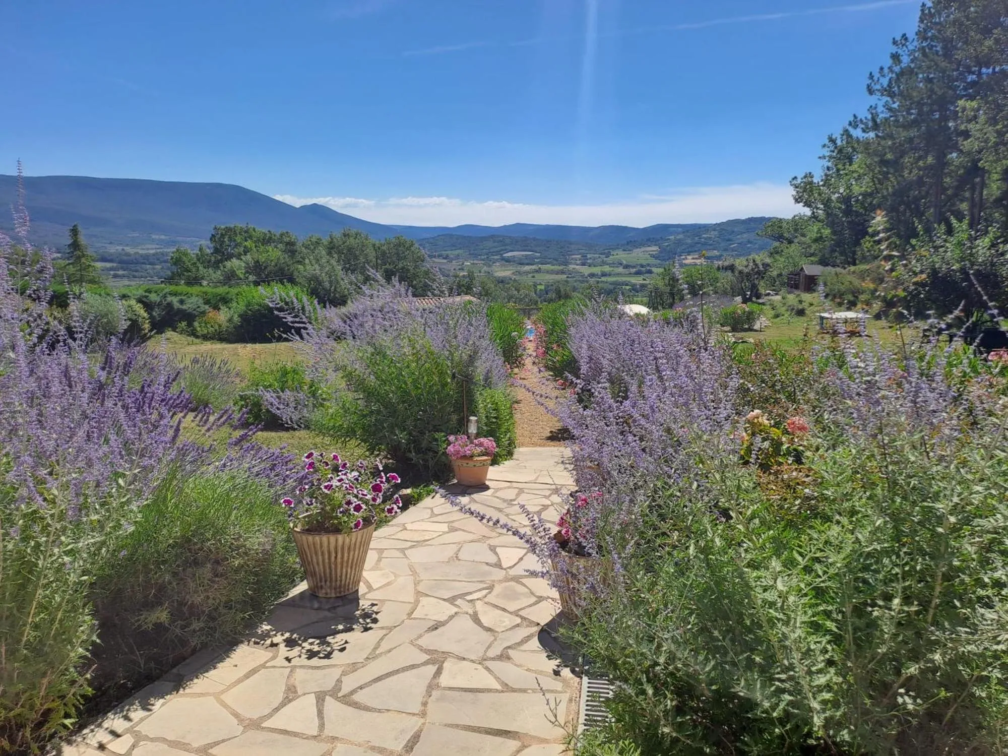 Garden in Les Cerises