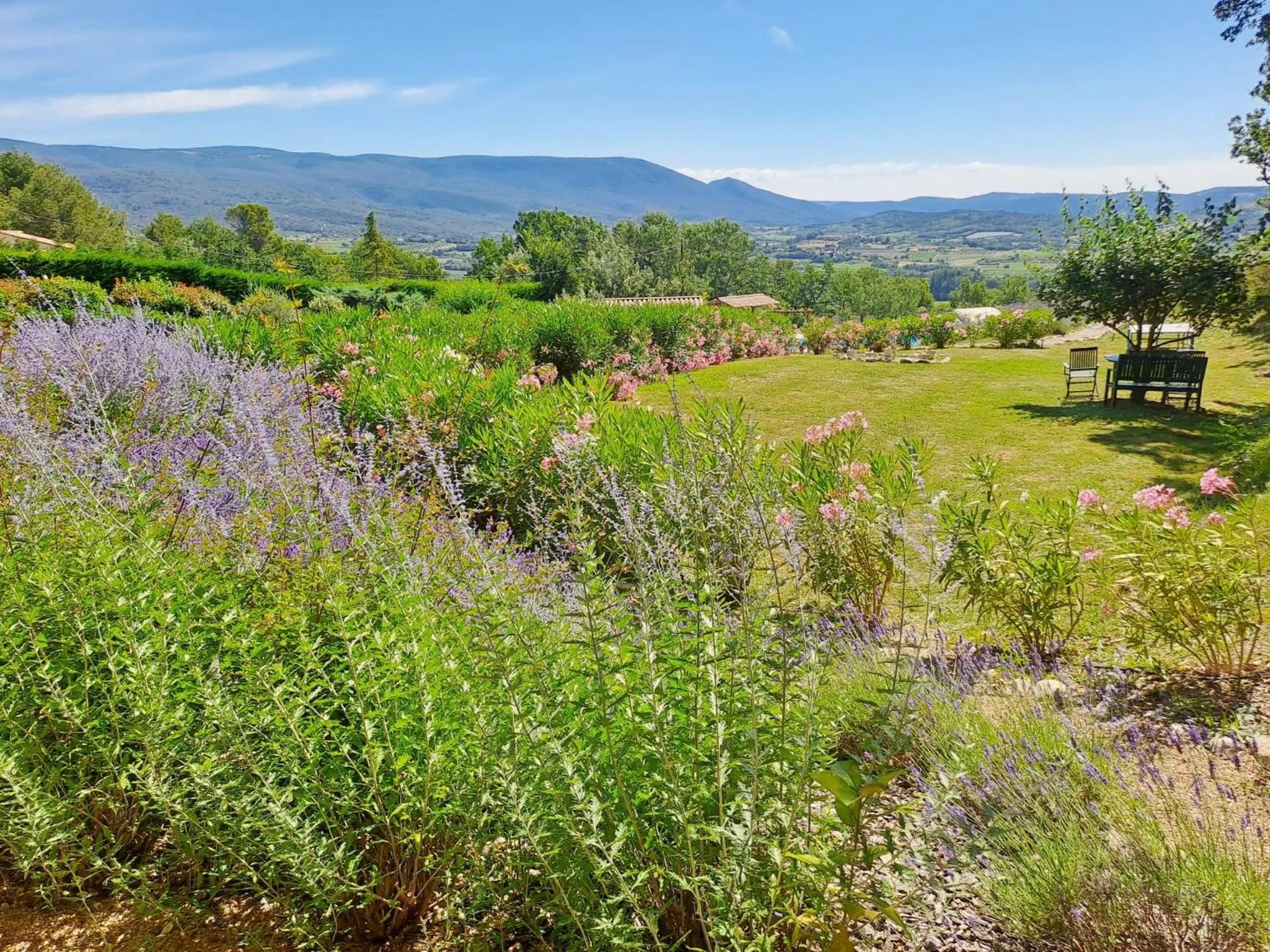 Garden in Les Cerises