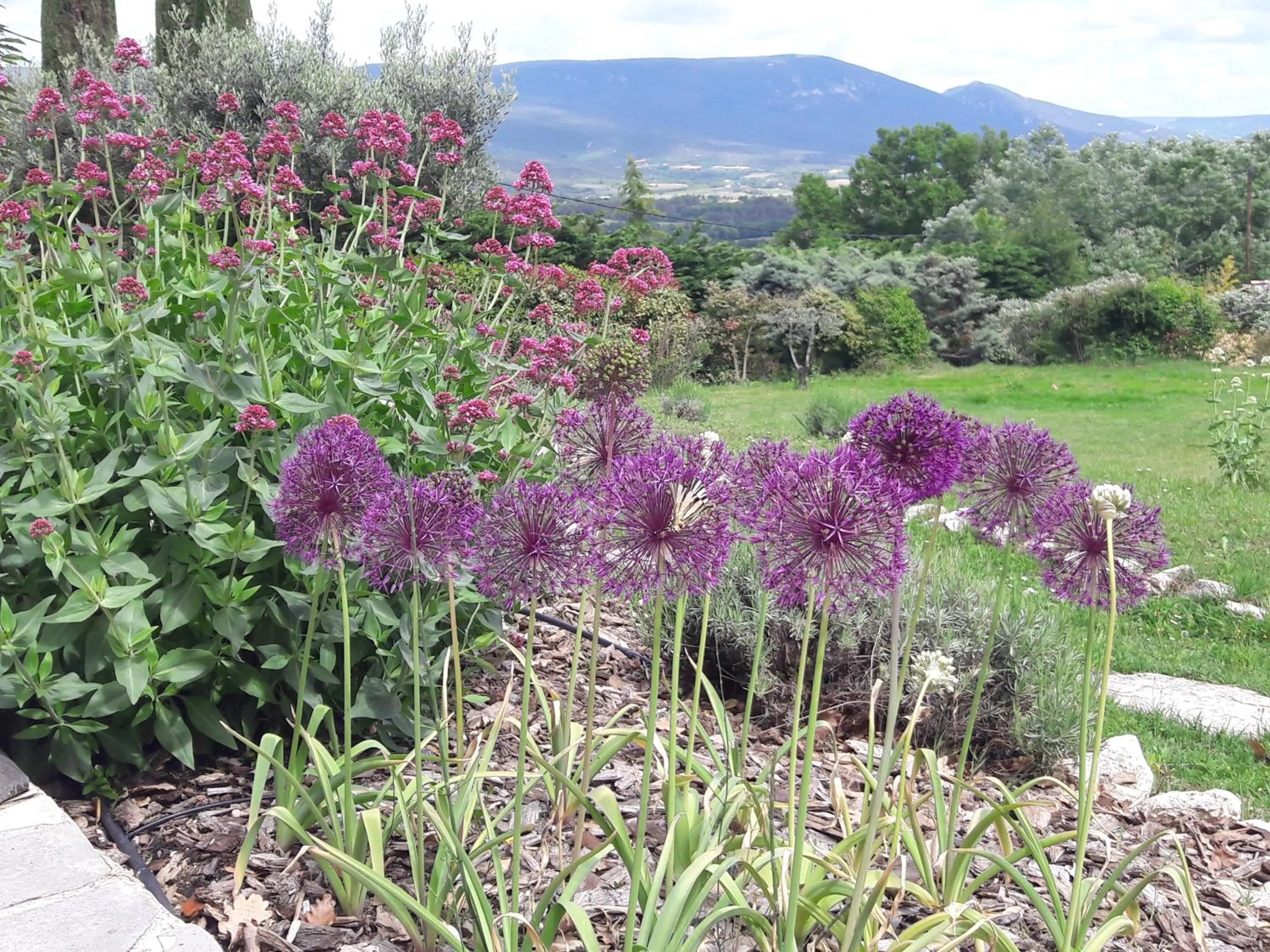 Natural landscape in Les Cerises