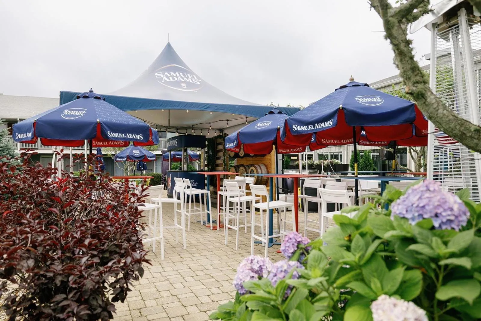 Lounge or bar in Red Jacket Beach Resort