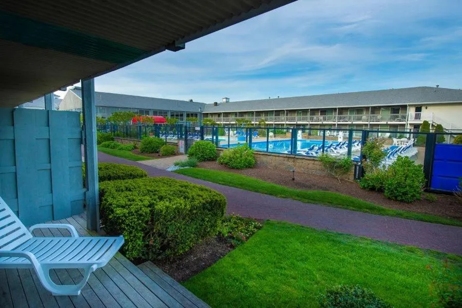 Pool view in Red Jacket Beach Resort
