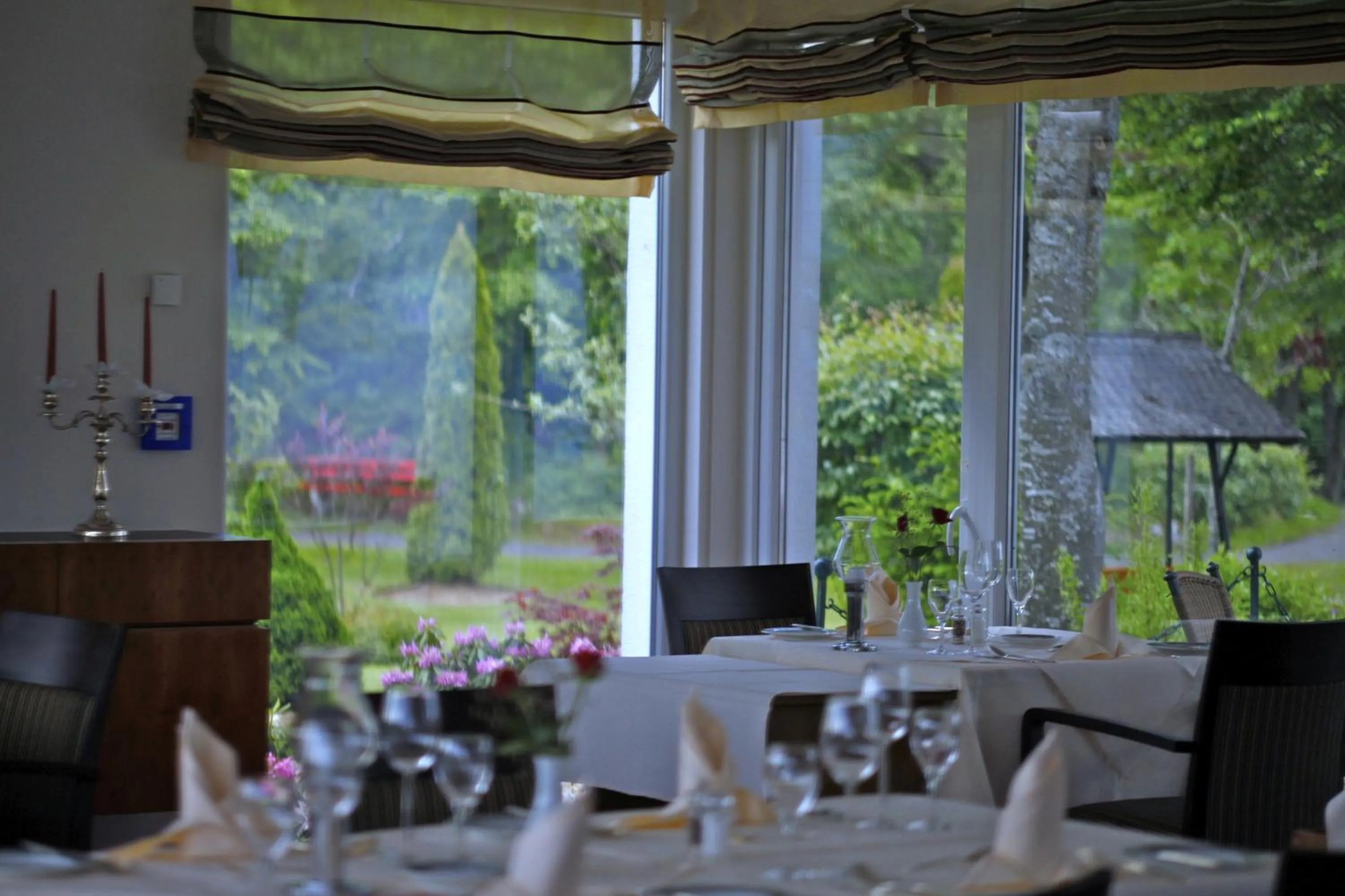 Restaurant/places to eat in Parkhotel Flora am Schluchsee