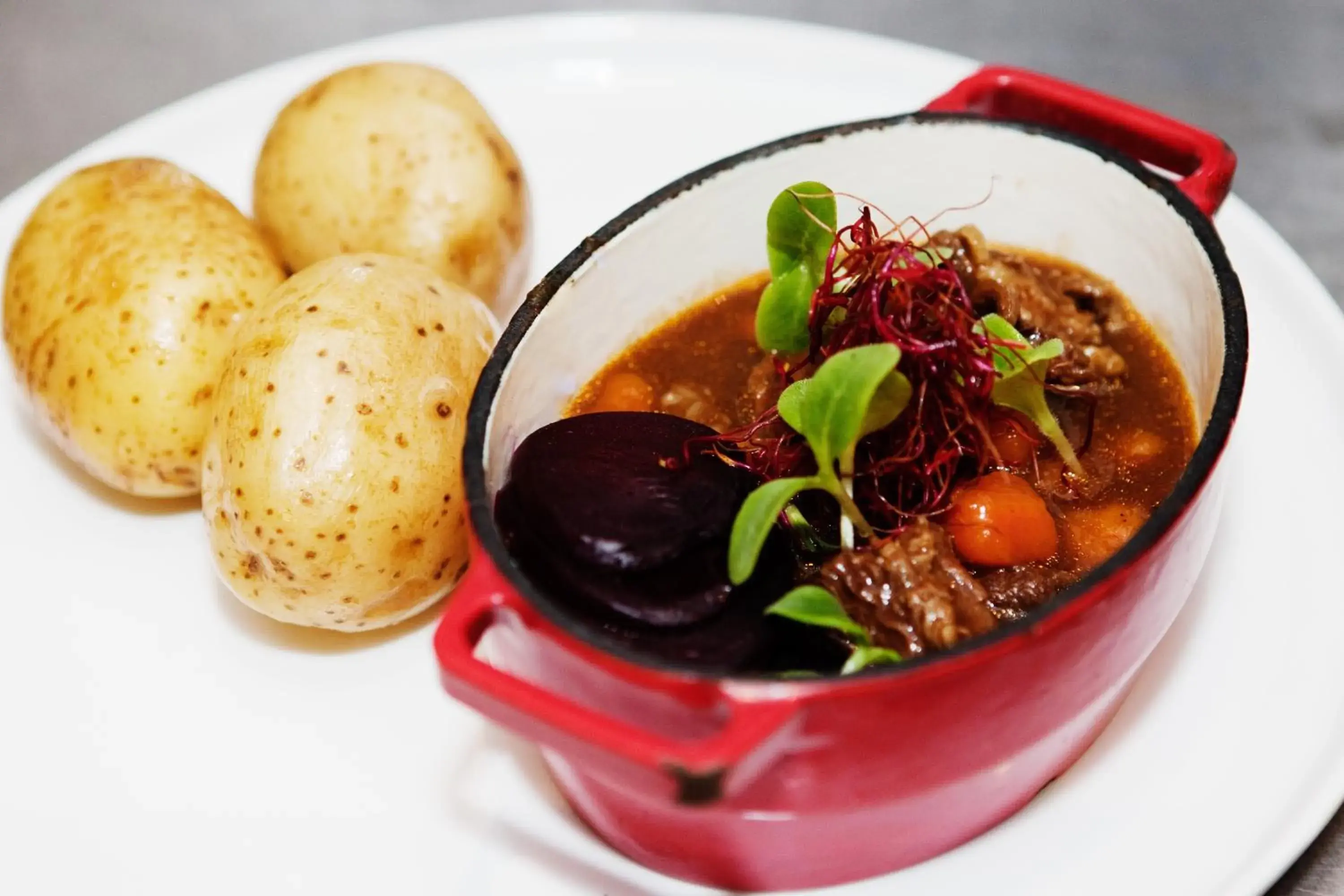 Restaurant/places to eat in City Backpackers Hostel Restaurant/places to eat in City Backpackers Hostel