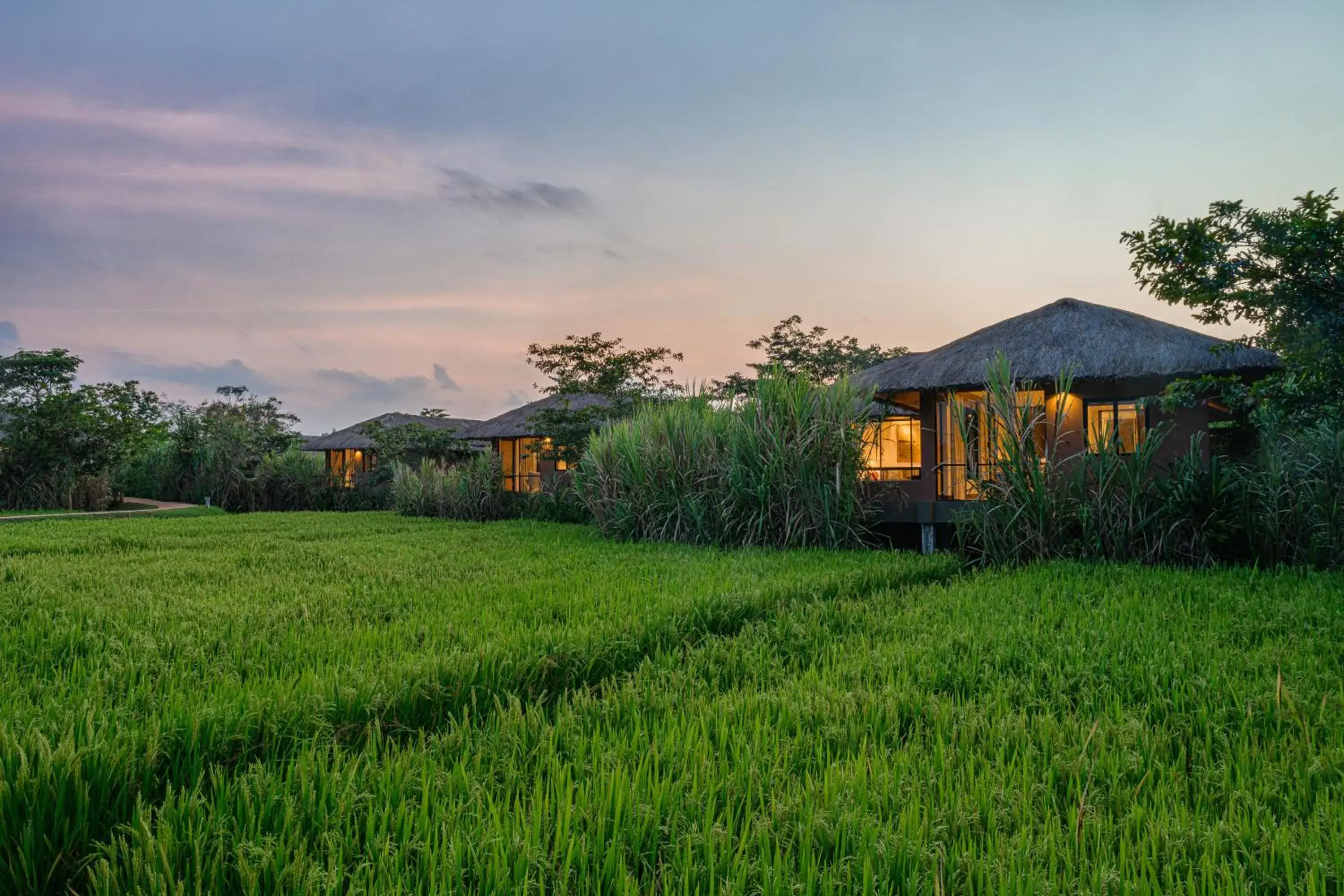 Deluxe Villa - single occupancy in Water Garden Sigiriya Deluxe Villa - single occupancy in Water Garden Sigiriya