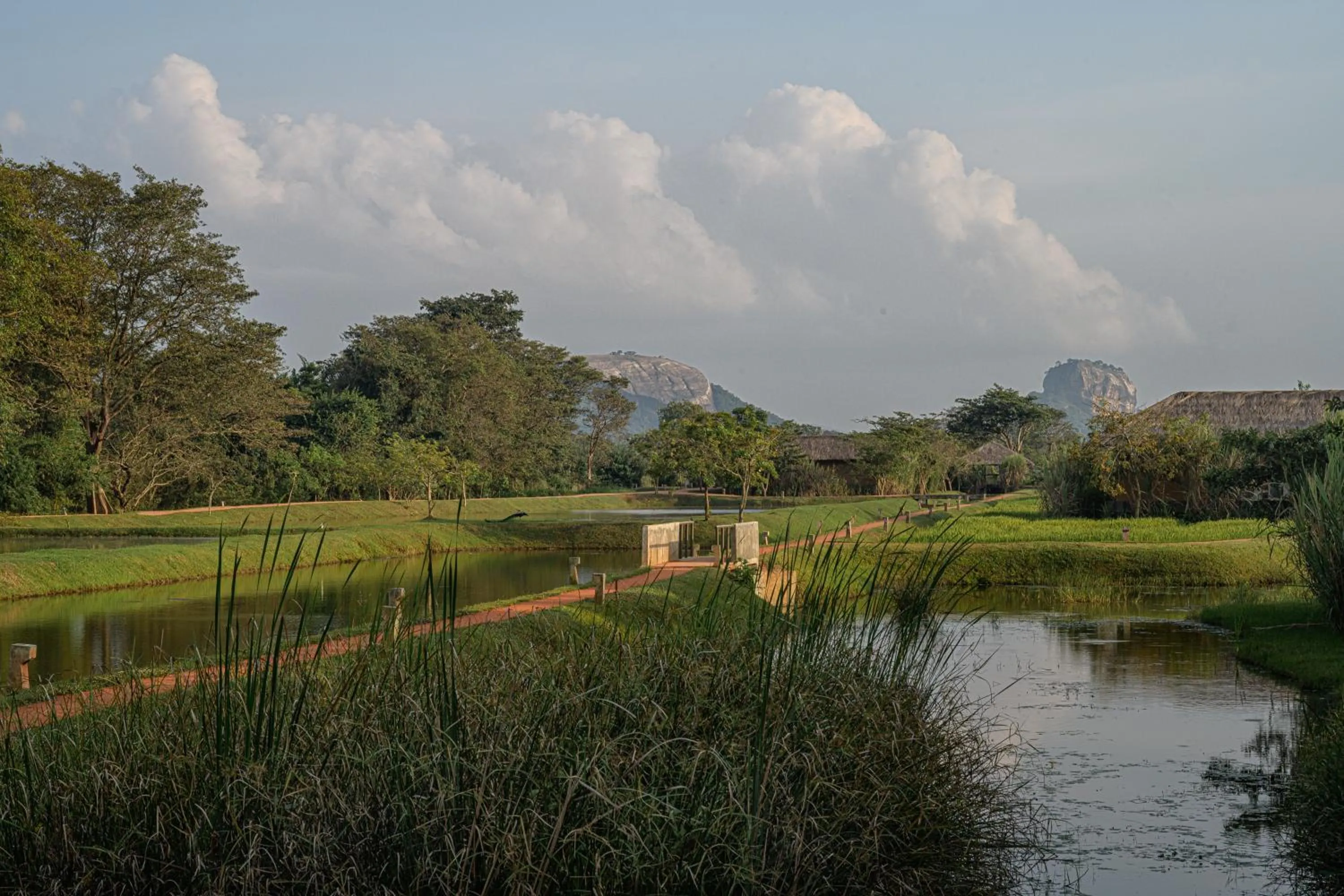 Natural landscape in Water Garden Sigiriya