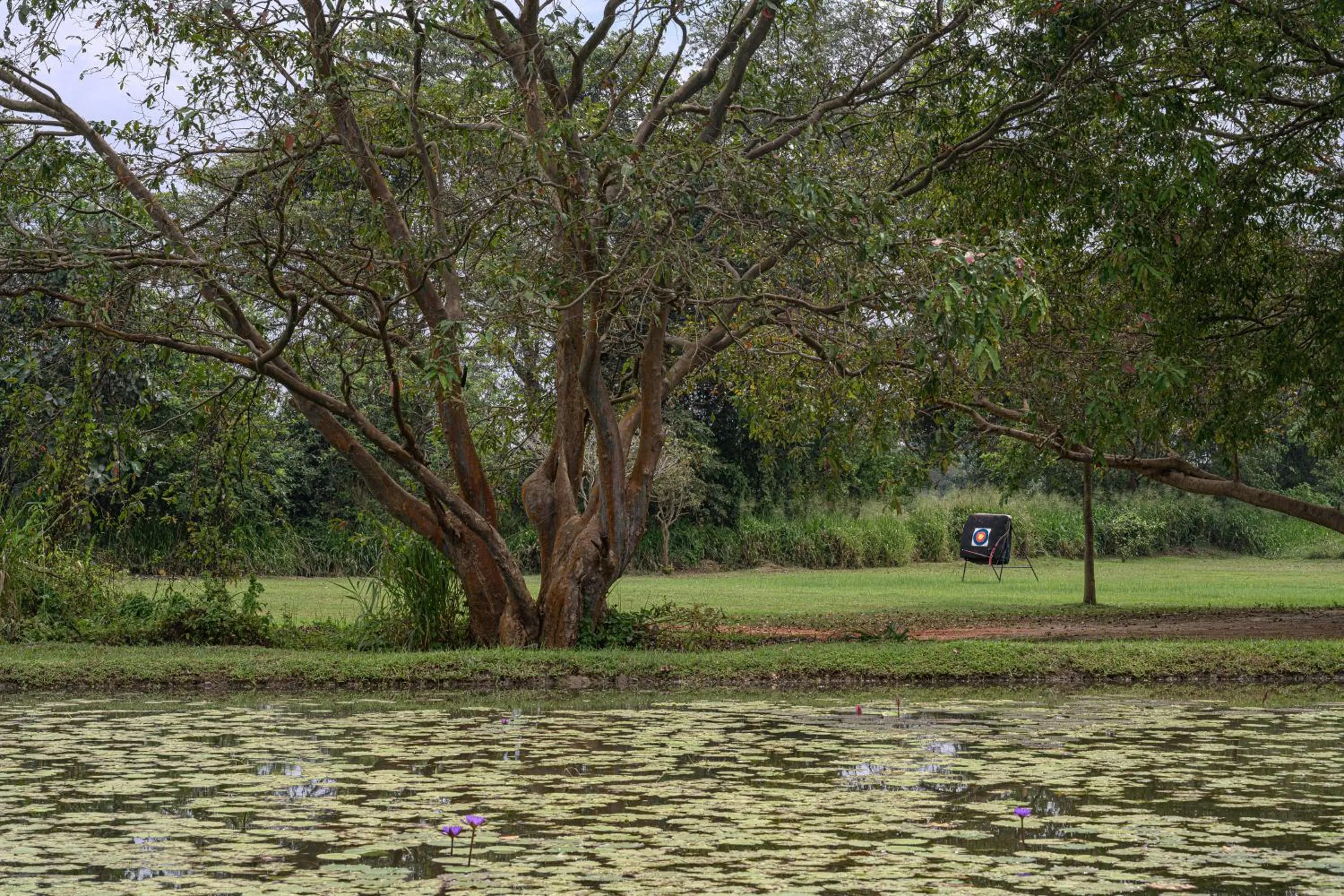 Sports in Water Garden Sigiriya