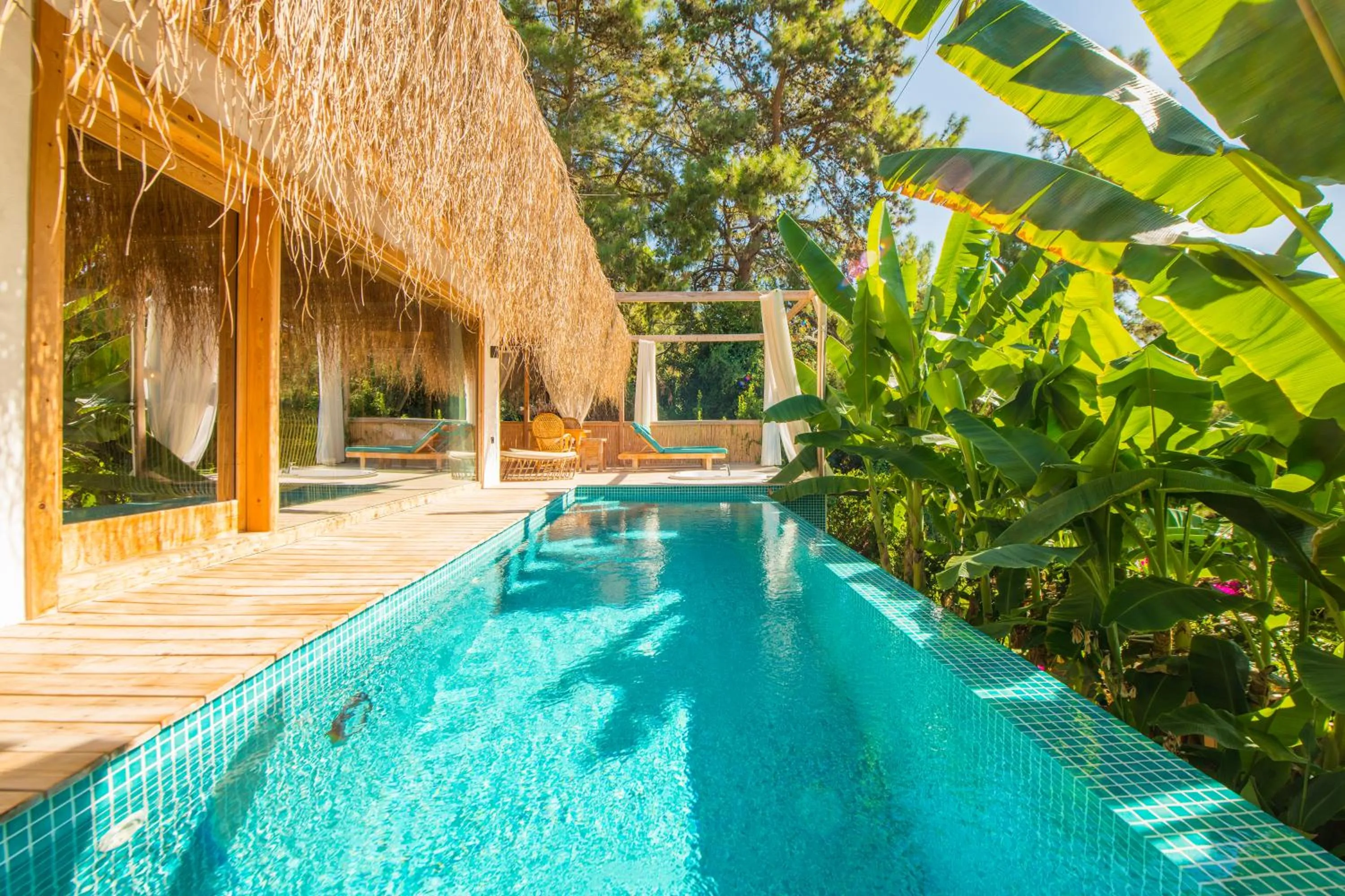 Pool view in Seaview Faralya