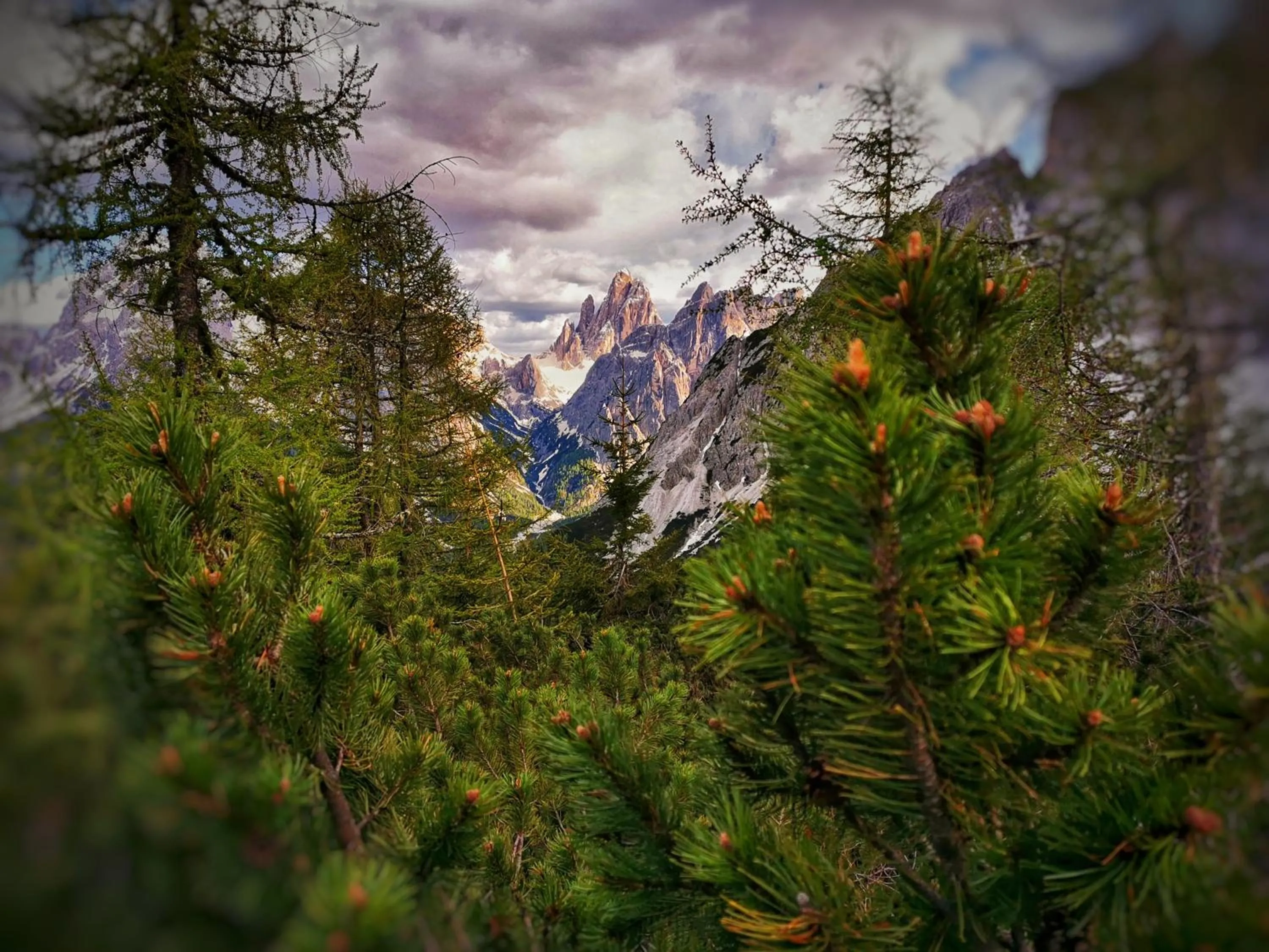 View (from property/room) in Apartments Riega