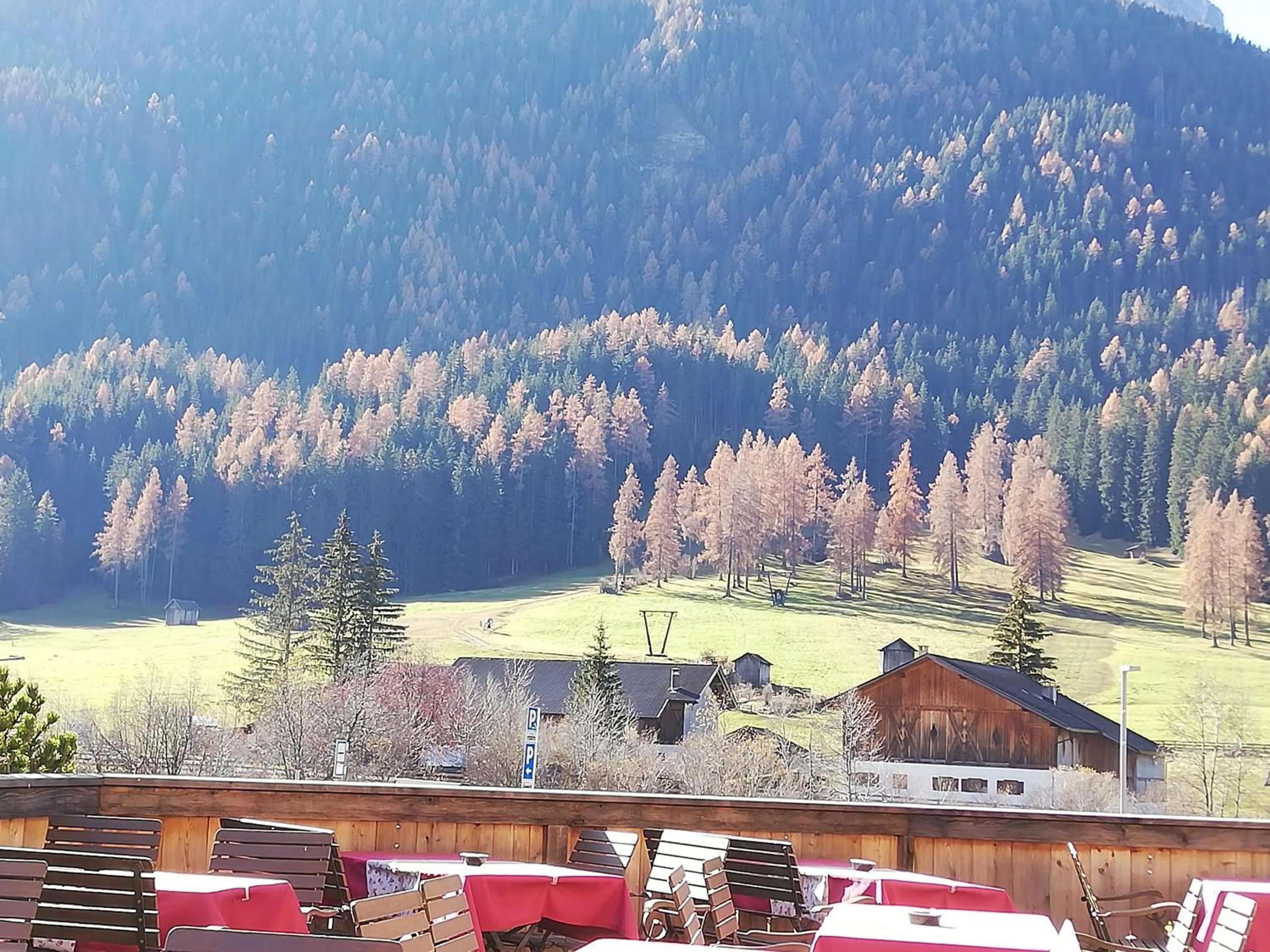 Spring in Apartments Riega