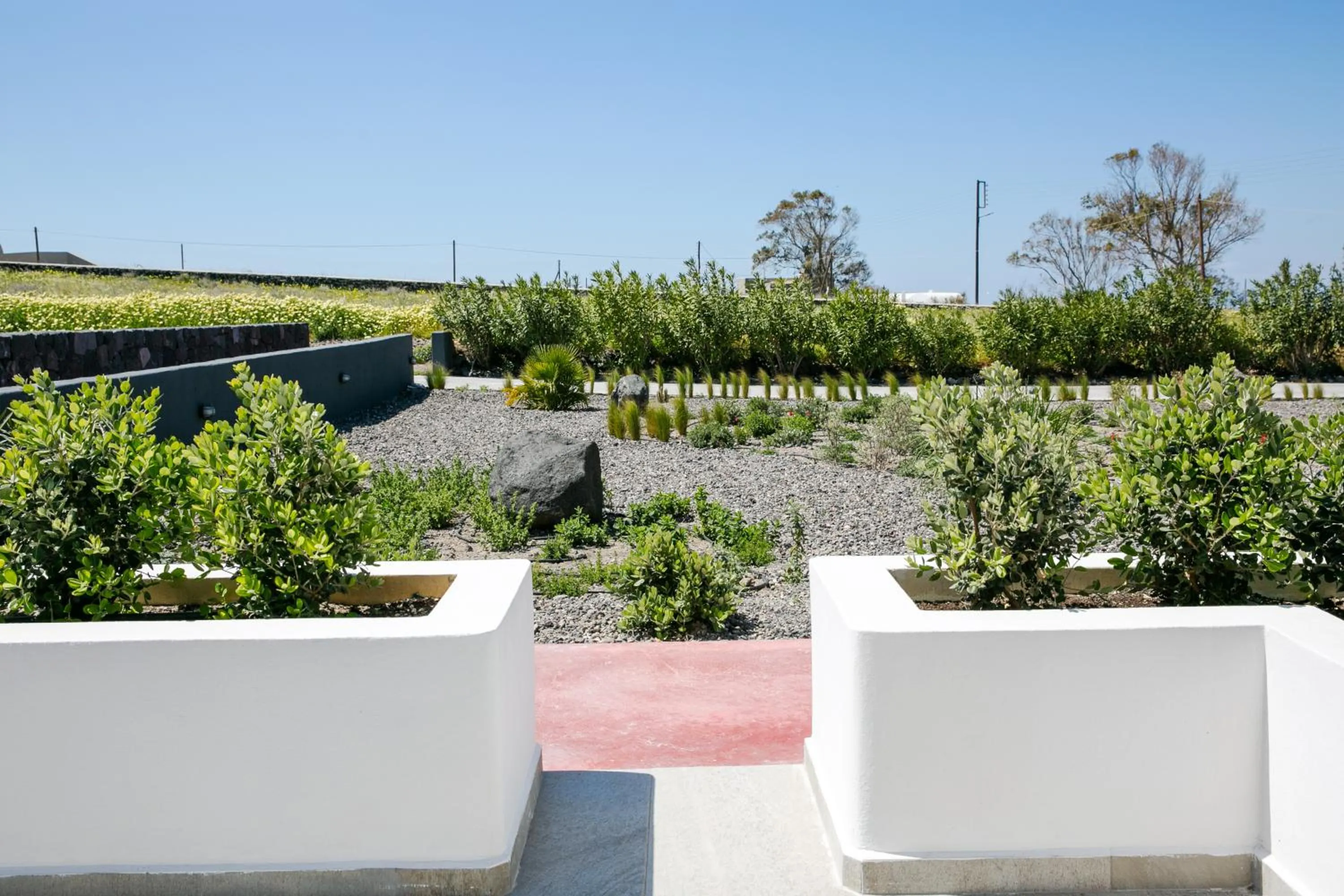 Garden view in Vino Houses Santorini