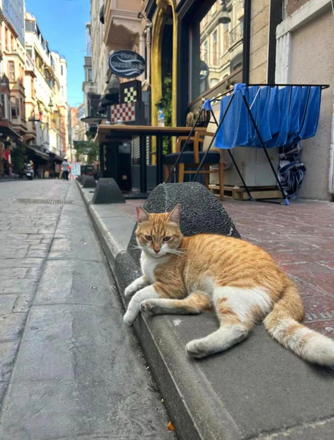 Street view in Taksim Park