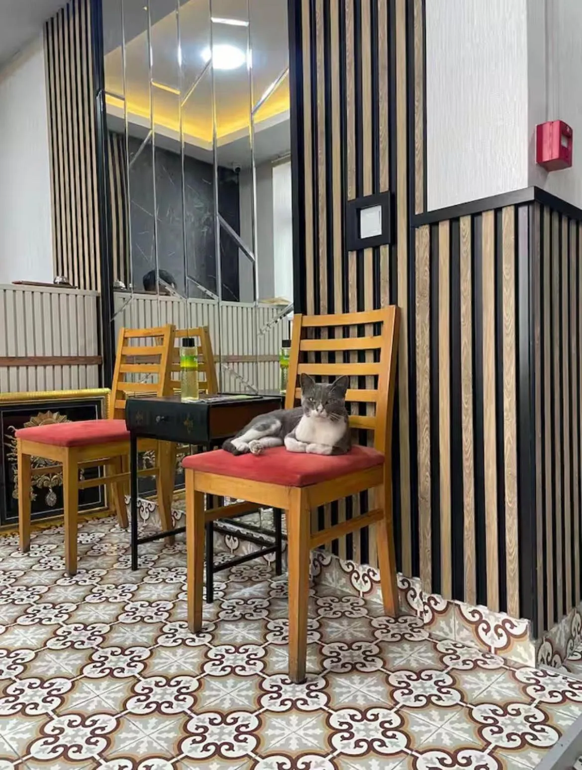 Lobby or reception in Taksim Park