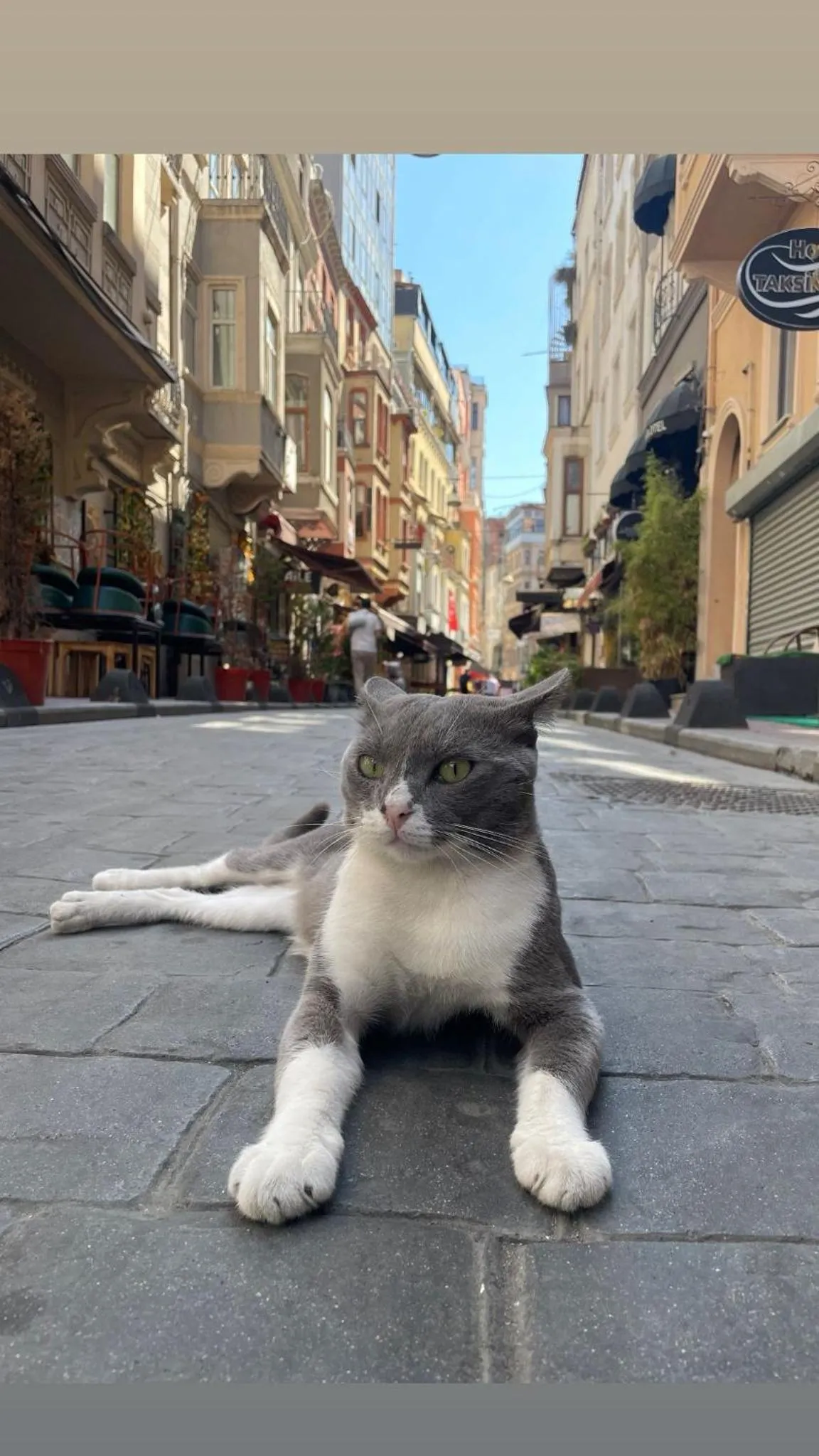 Property building in Taksim Park