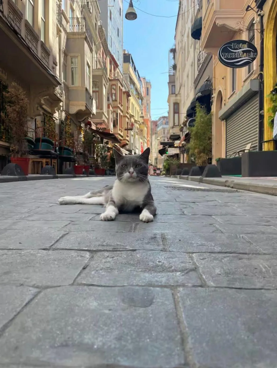 Neighbourhood in Taksim Park