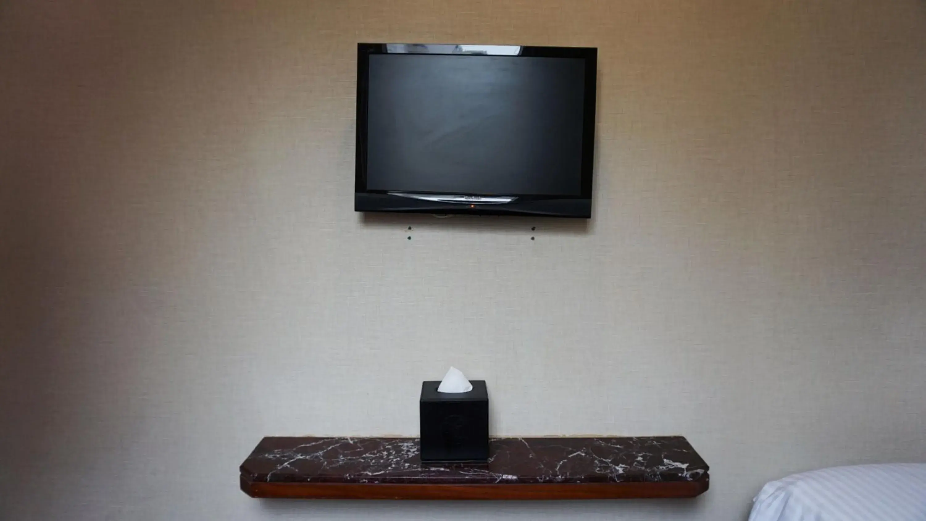 TV and multimedia in Oriental Lander Hotel TV and multimedia in Oriental Lander Hotel