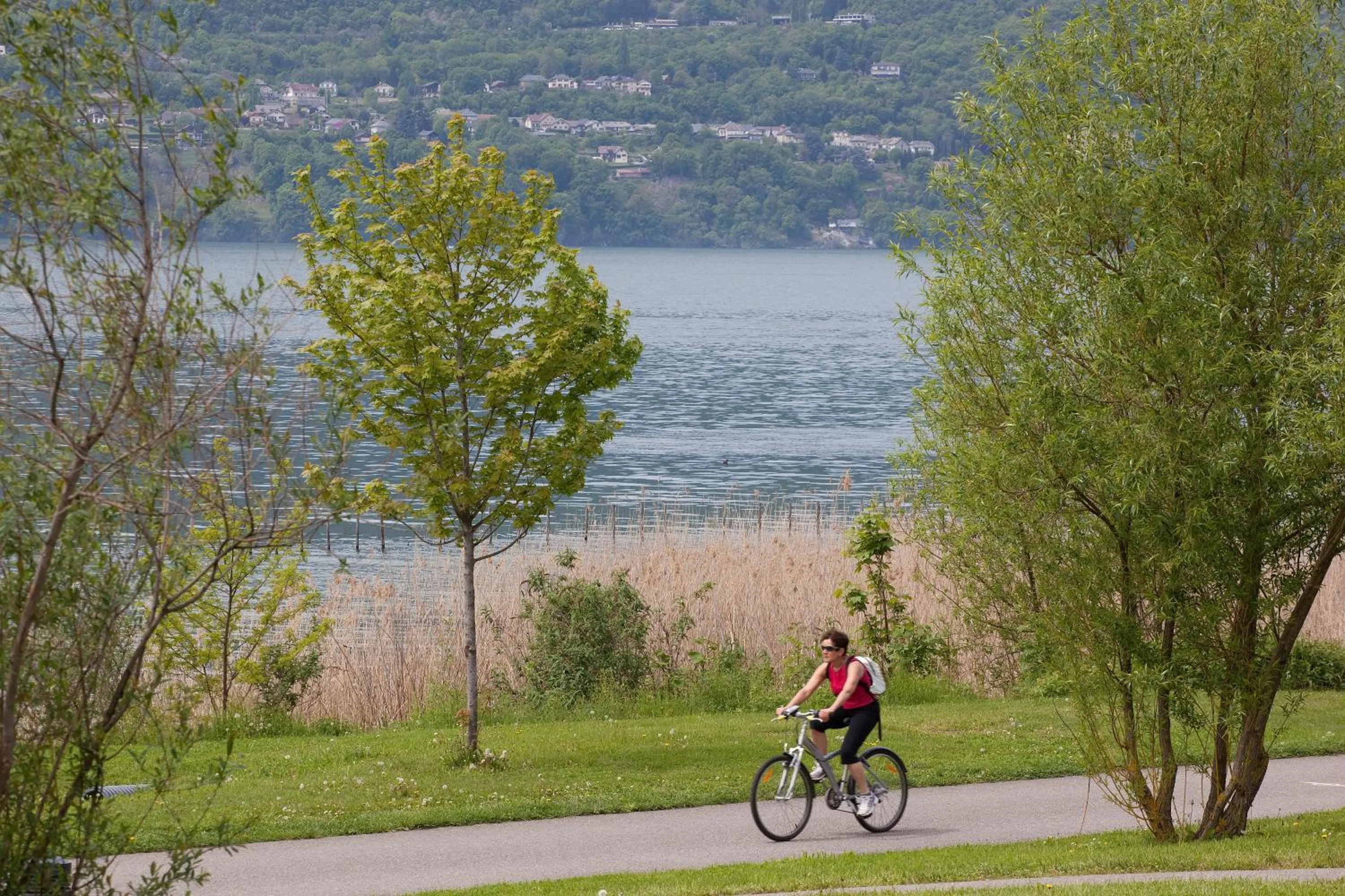 Area and facilities in Hôtel du Poète