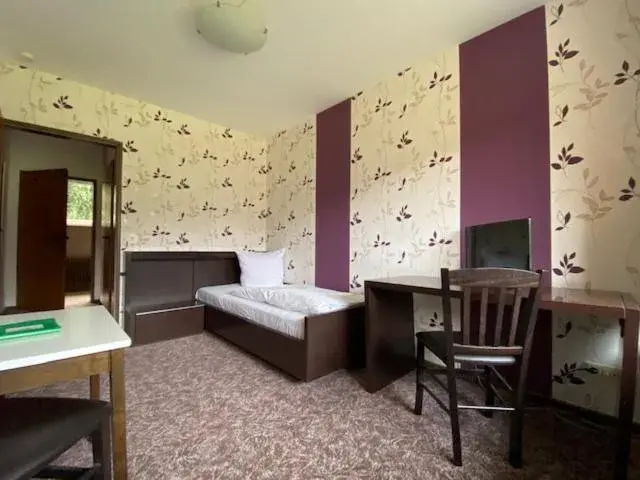 Budget Single Room in Hotel Tanneneck Budget Single Room in Hotel Tanneneck