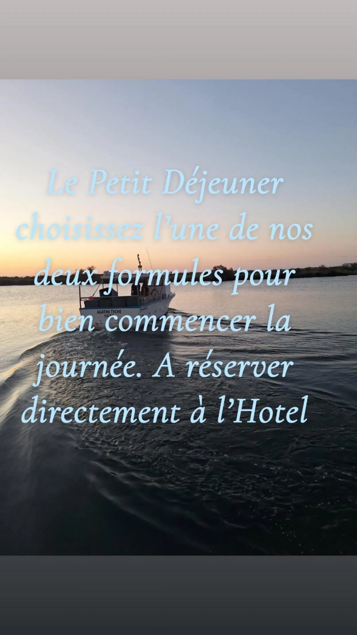 Hotel Alcyon