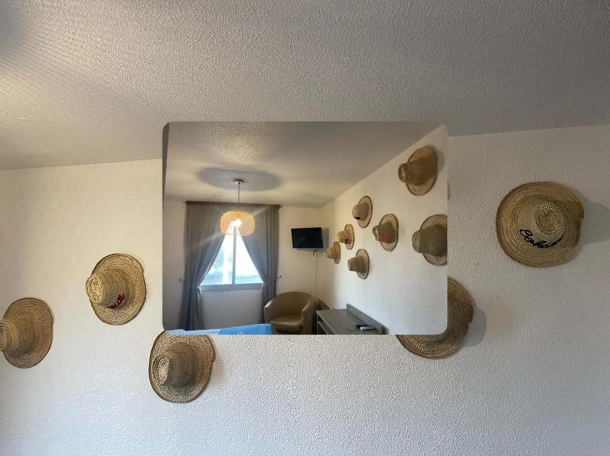 Hotel Alcyon