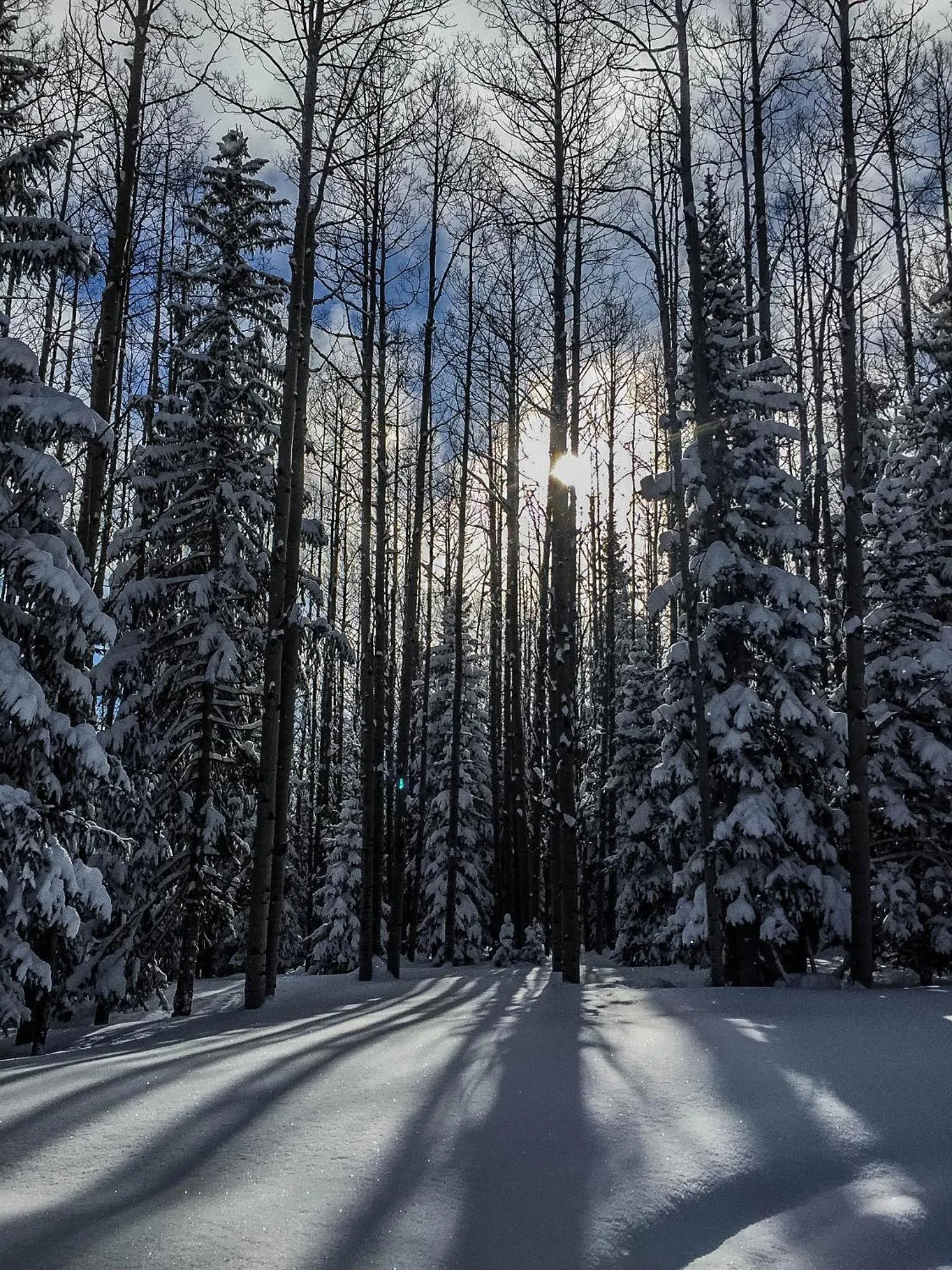 Arrowhead Mountain Lodge