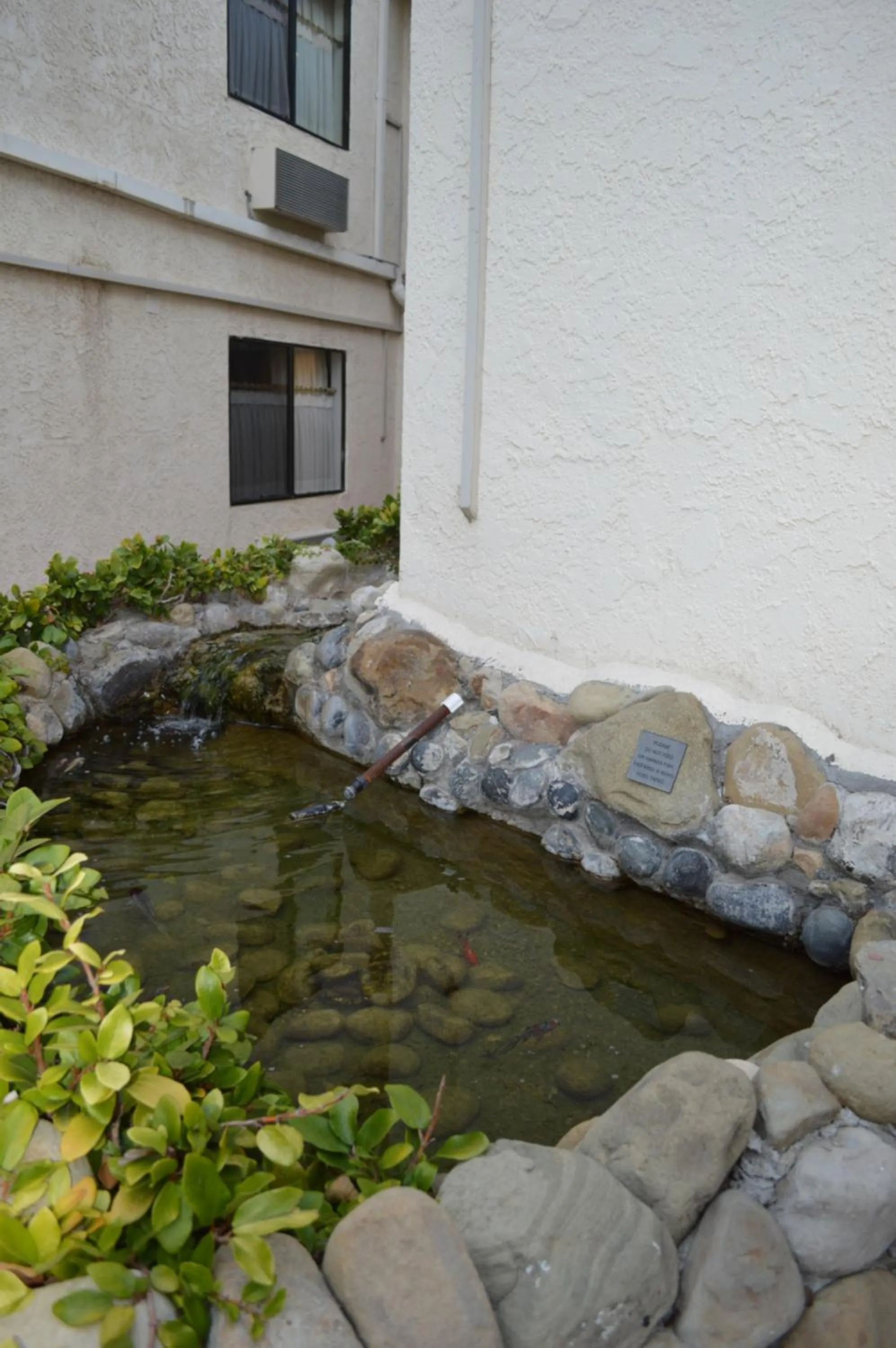 Patio in Jolly Roger Hotel