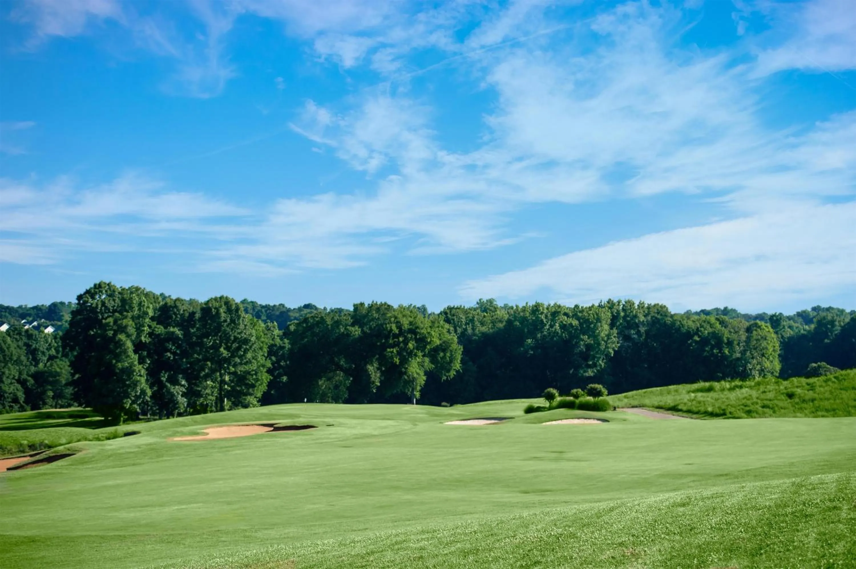 Golfcourse in Embassy Suites by Hilton Charlotte Concord Golf Resort & Spa