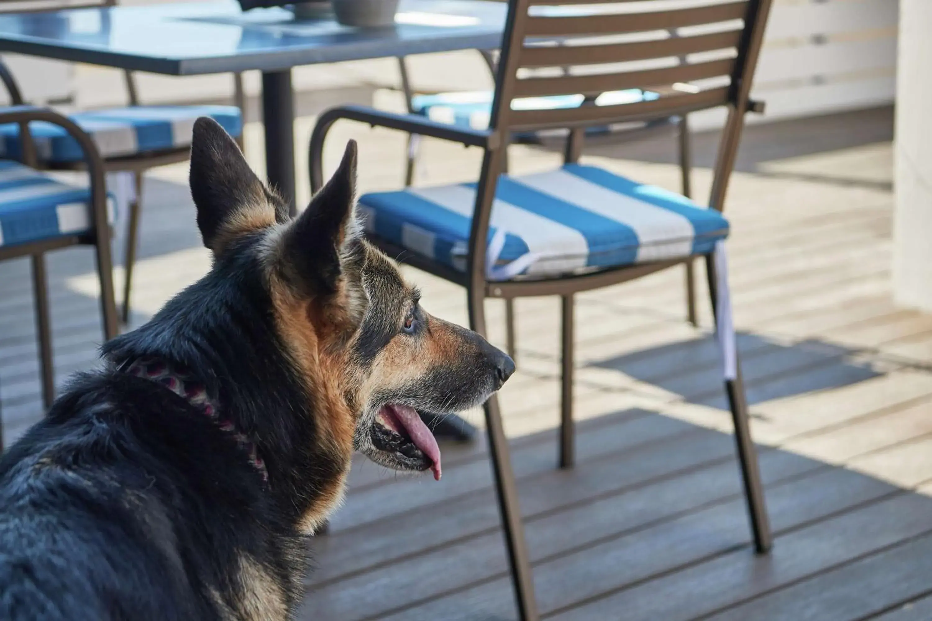 Property building in DoubleTree by Hilton Hotel Berkeley Marina Property building in DoubleTree by Hilton Hotel Berkeley Marina