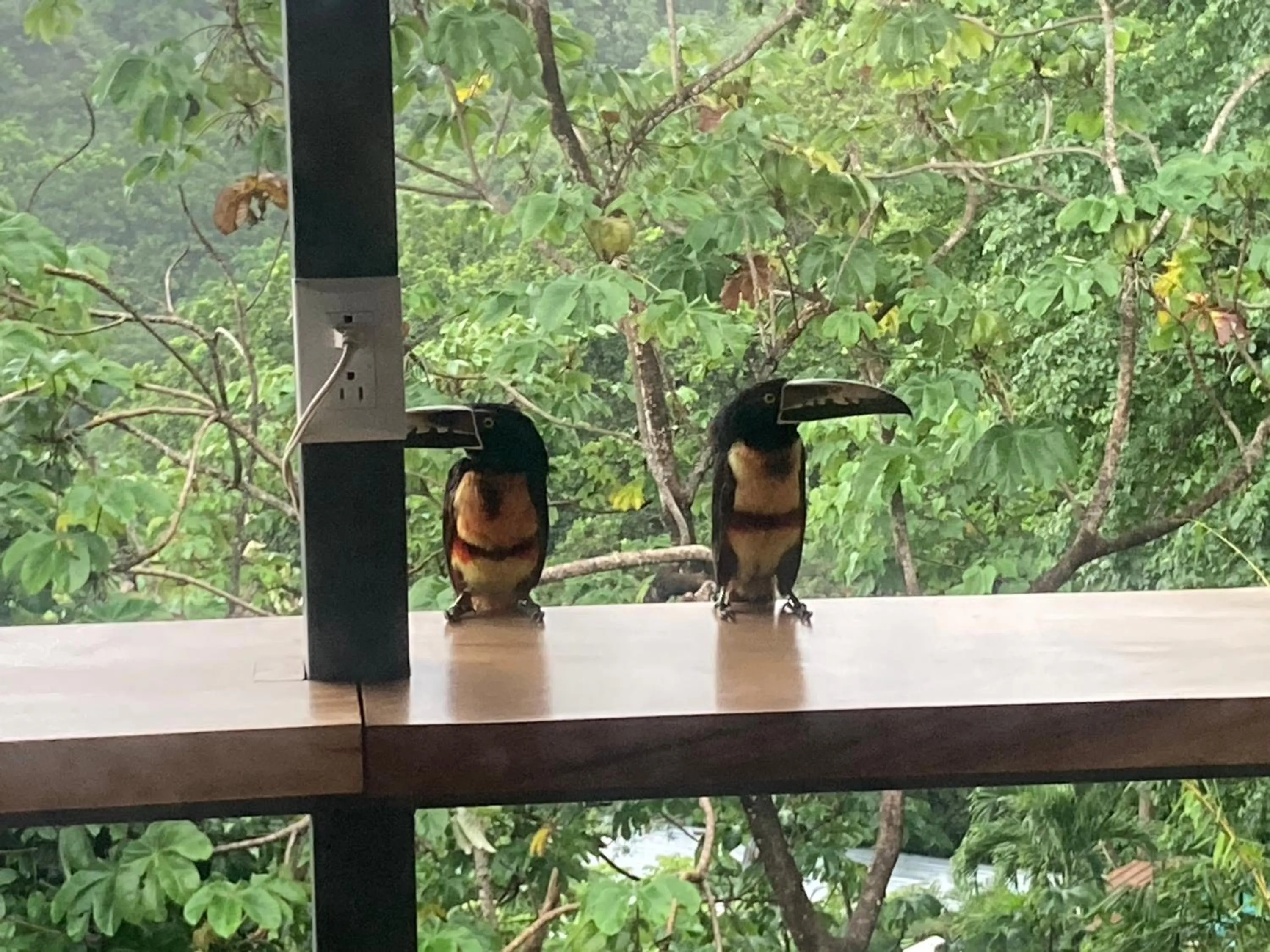 Santa Teresa Surf Vista Villas