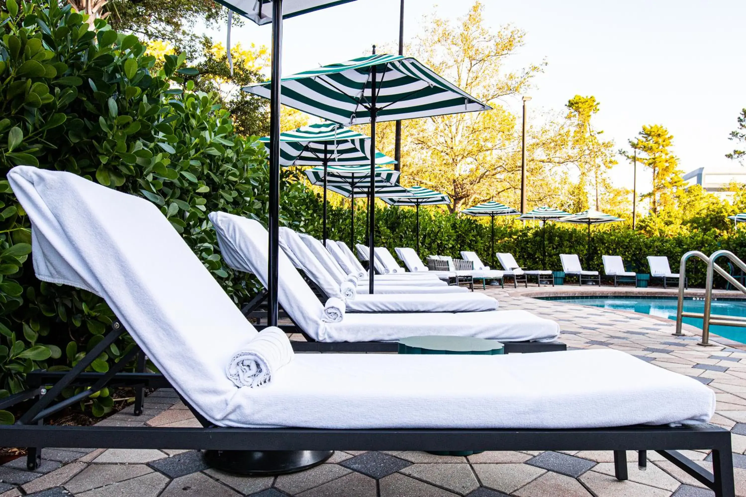 sunbed in Hotel Landy Orlando Universal Blvd, a Tribute Portfolio Hotel sunbed in Hotel Landy Orlando Universal Blvd, a Tribute Portfolio Hotel