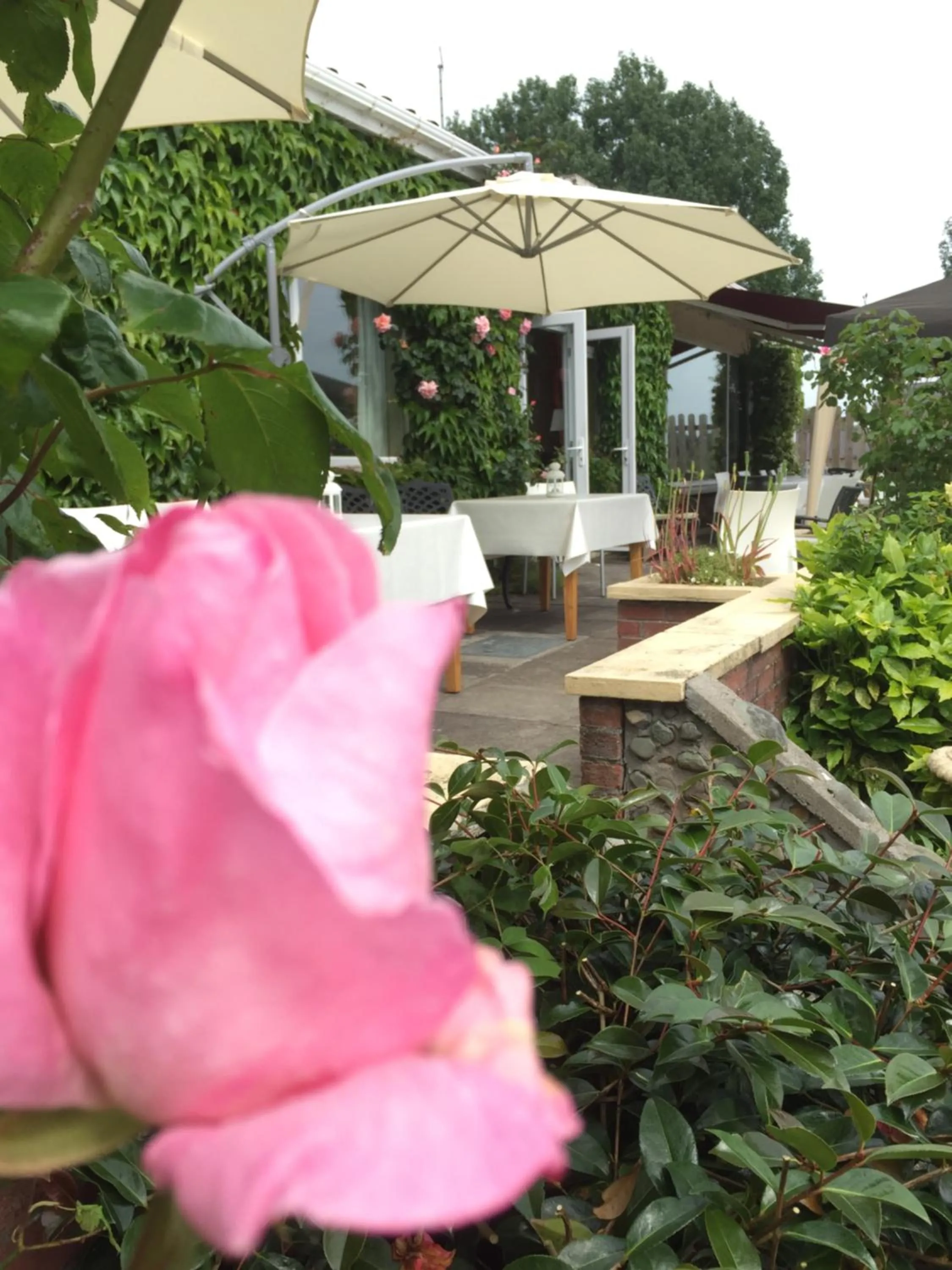 Balcony/Terrace in St Kyrans Guest House