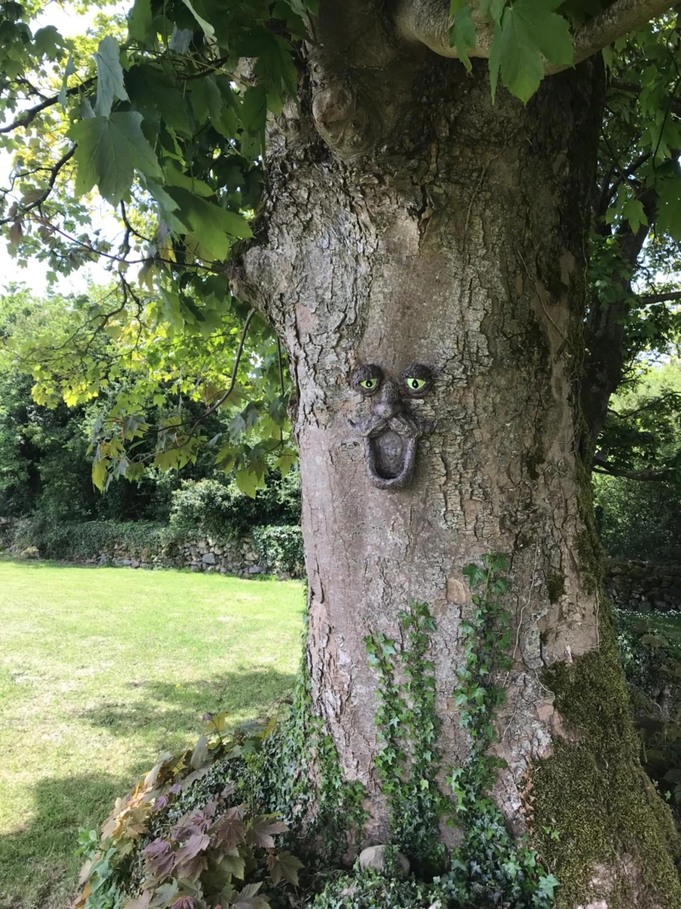Garden in St Kyrans Guest House