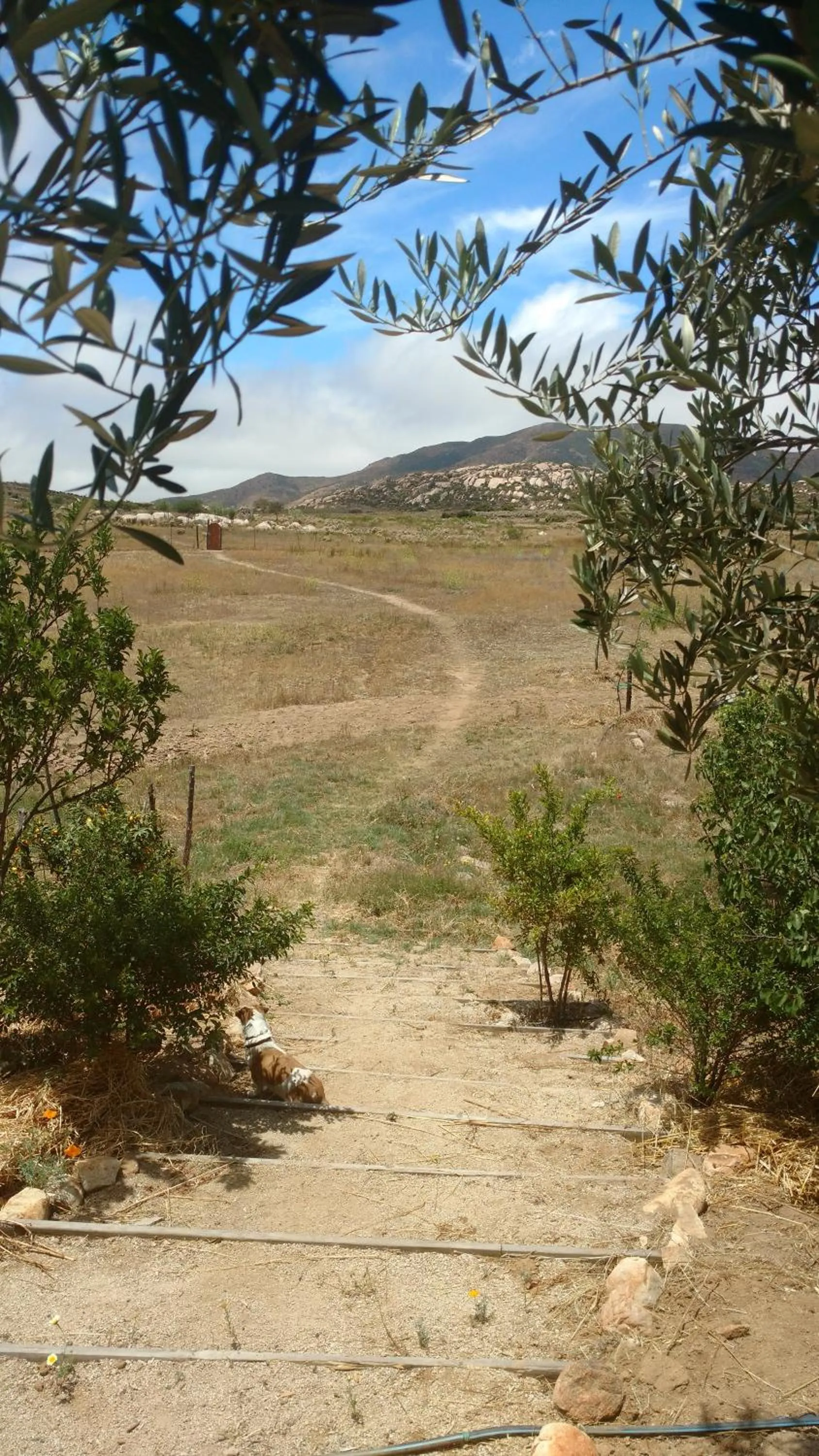 Property building in Vinofilia Wine Country Inn