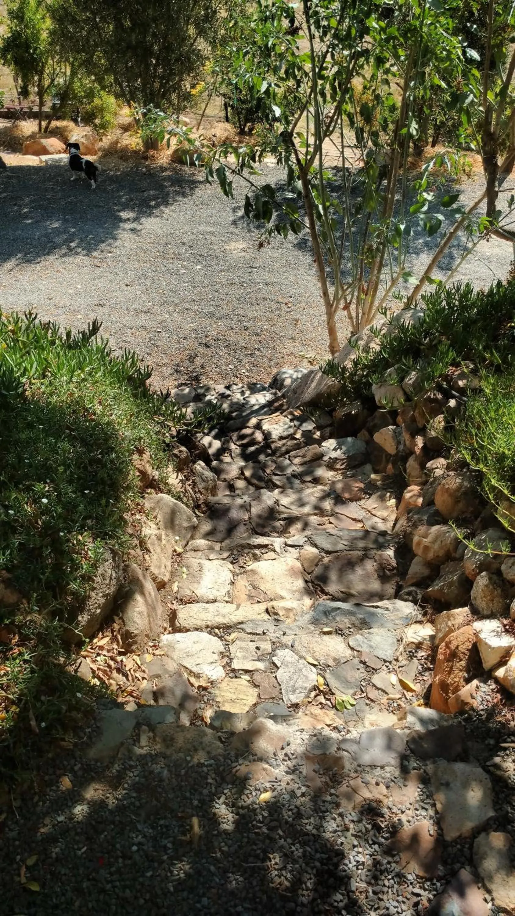 Vinofilia Wine Country Inn