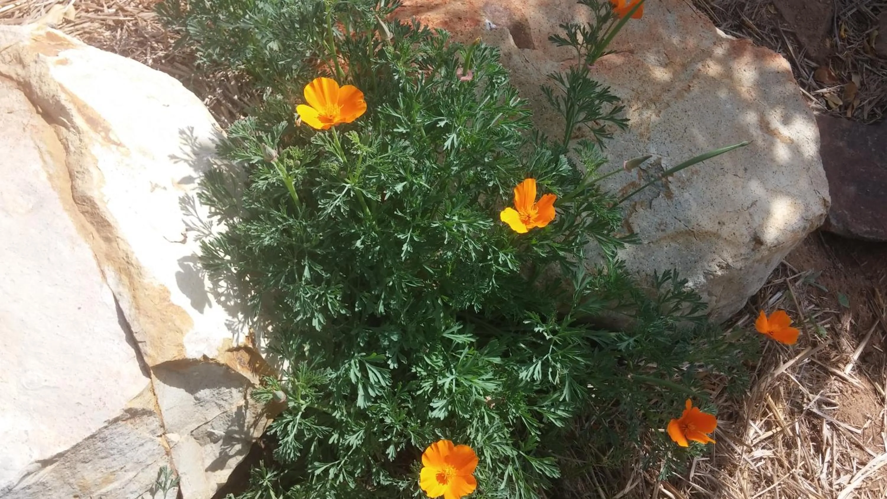 Vinofilia Wine Country Inn