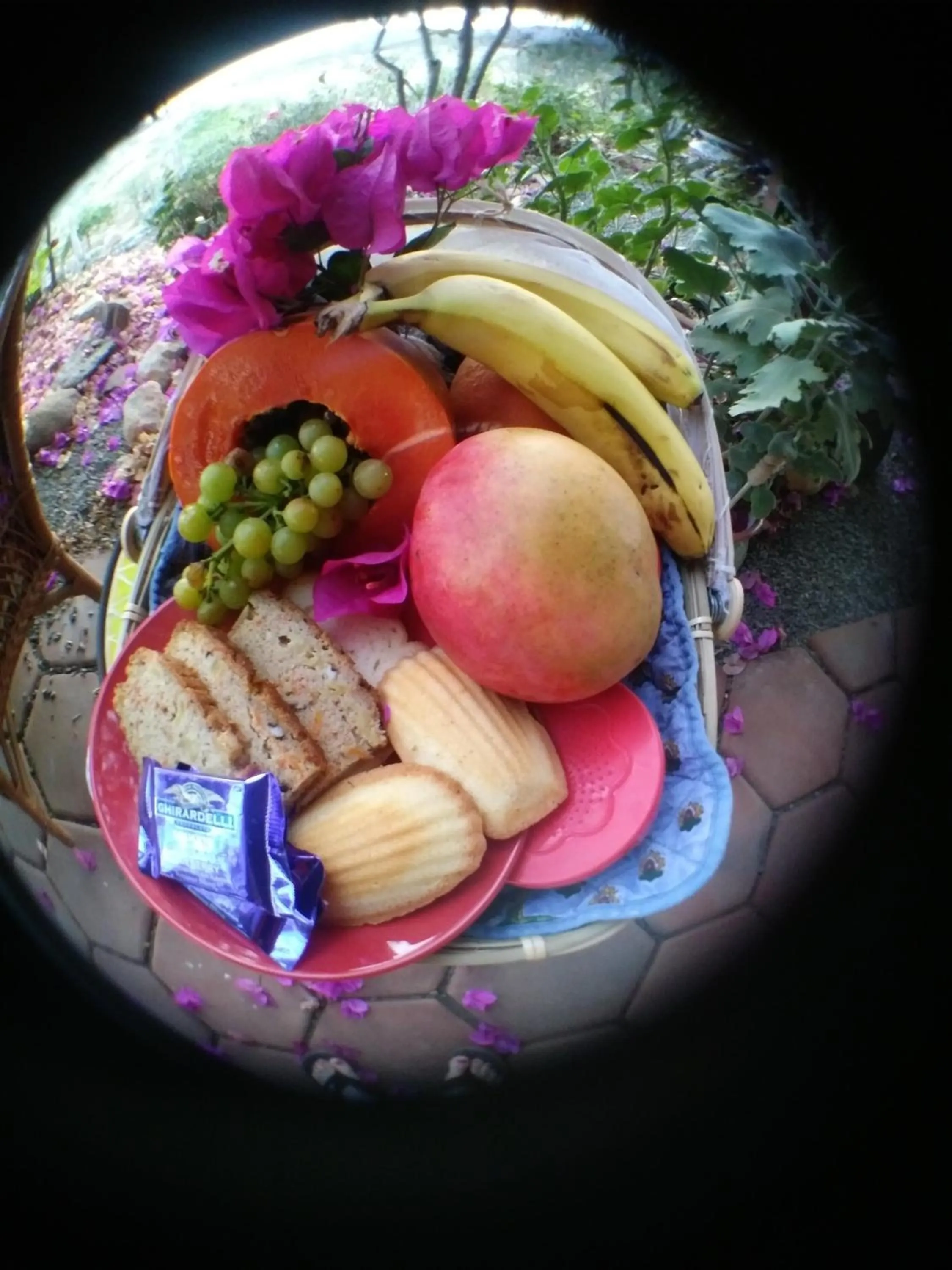 Food and drinks in Vinofilia Wine Country Inn