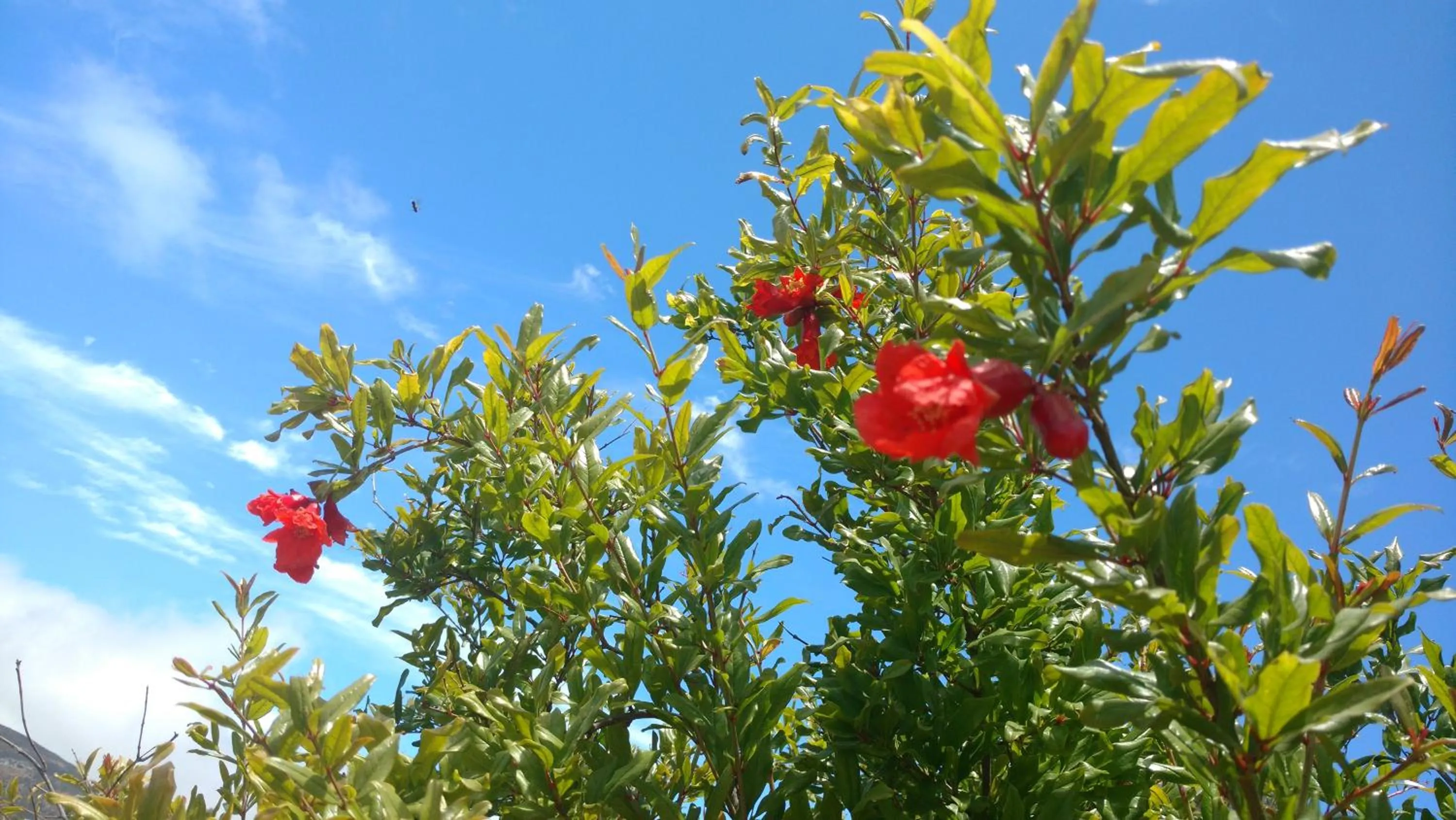 Property building in Vinofilia Wine Country Inn