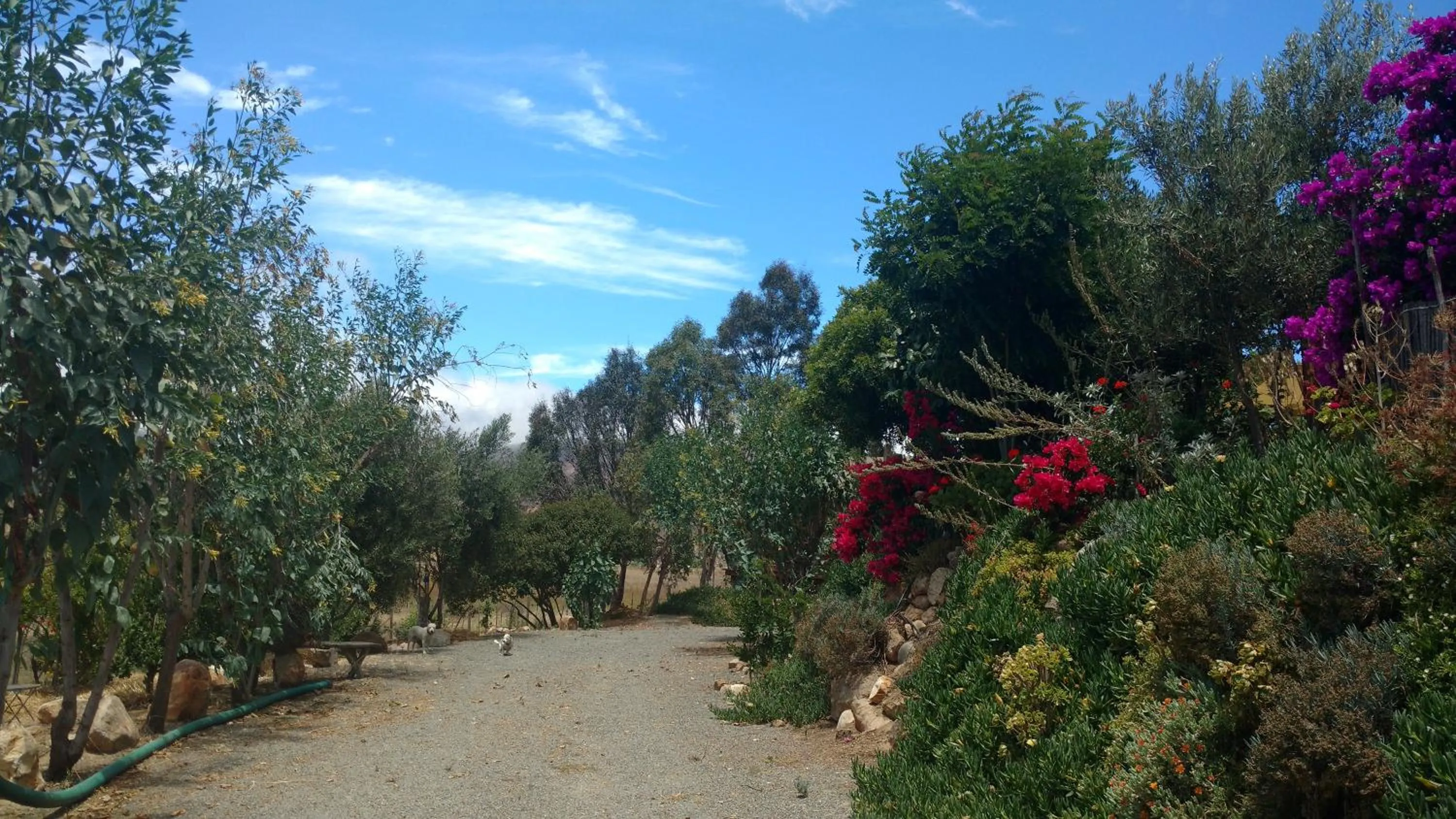 Property building in Vinofilia Wine Country Inn