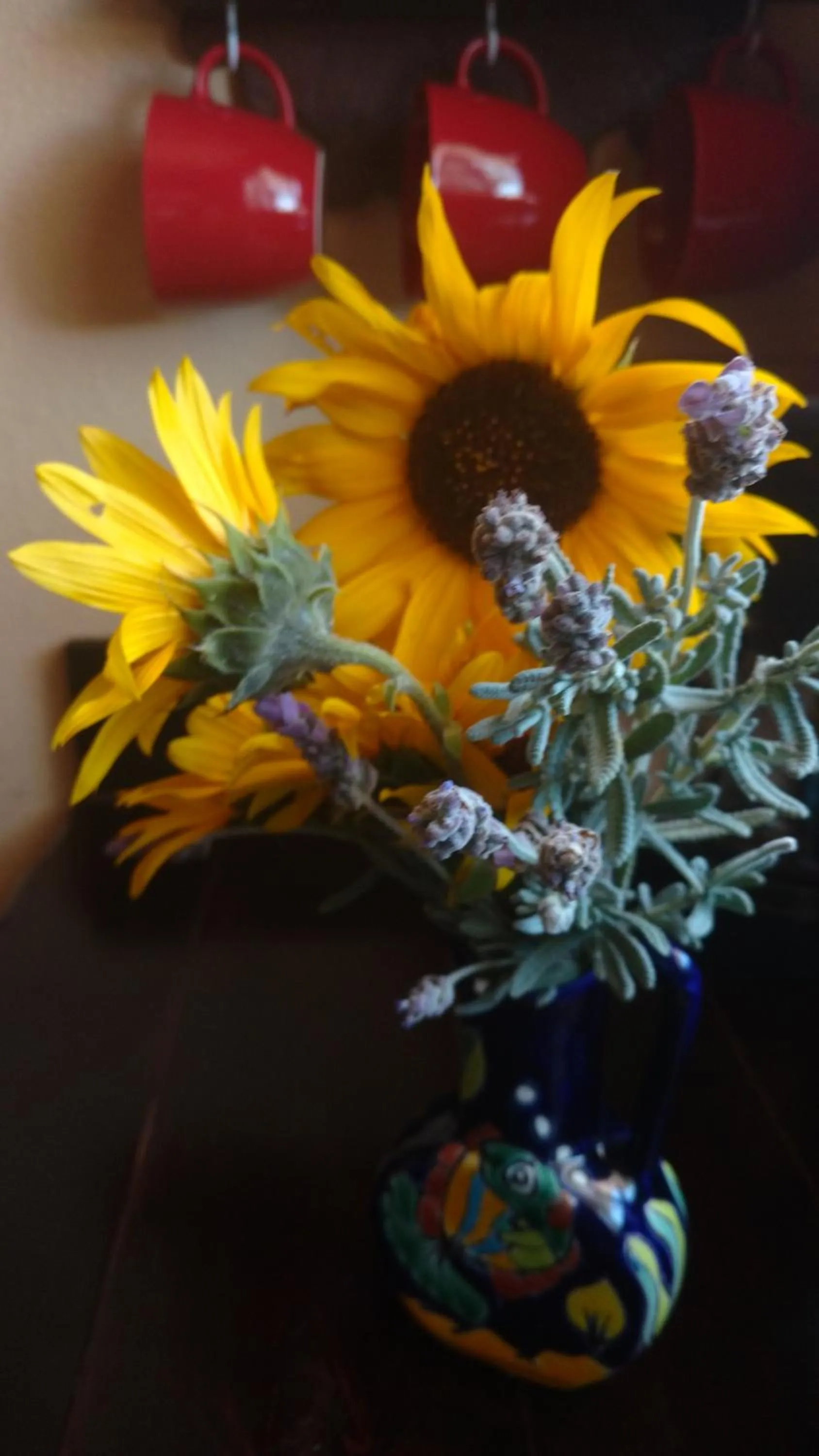 Vinofilia Wine Country Inn