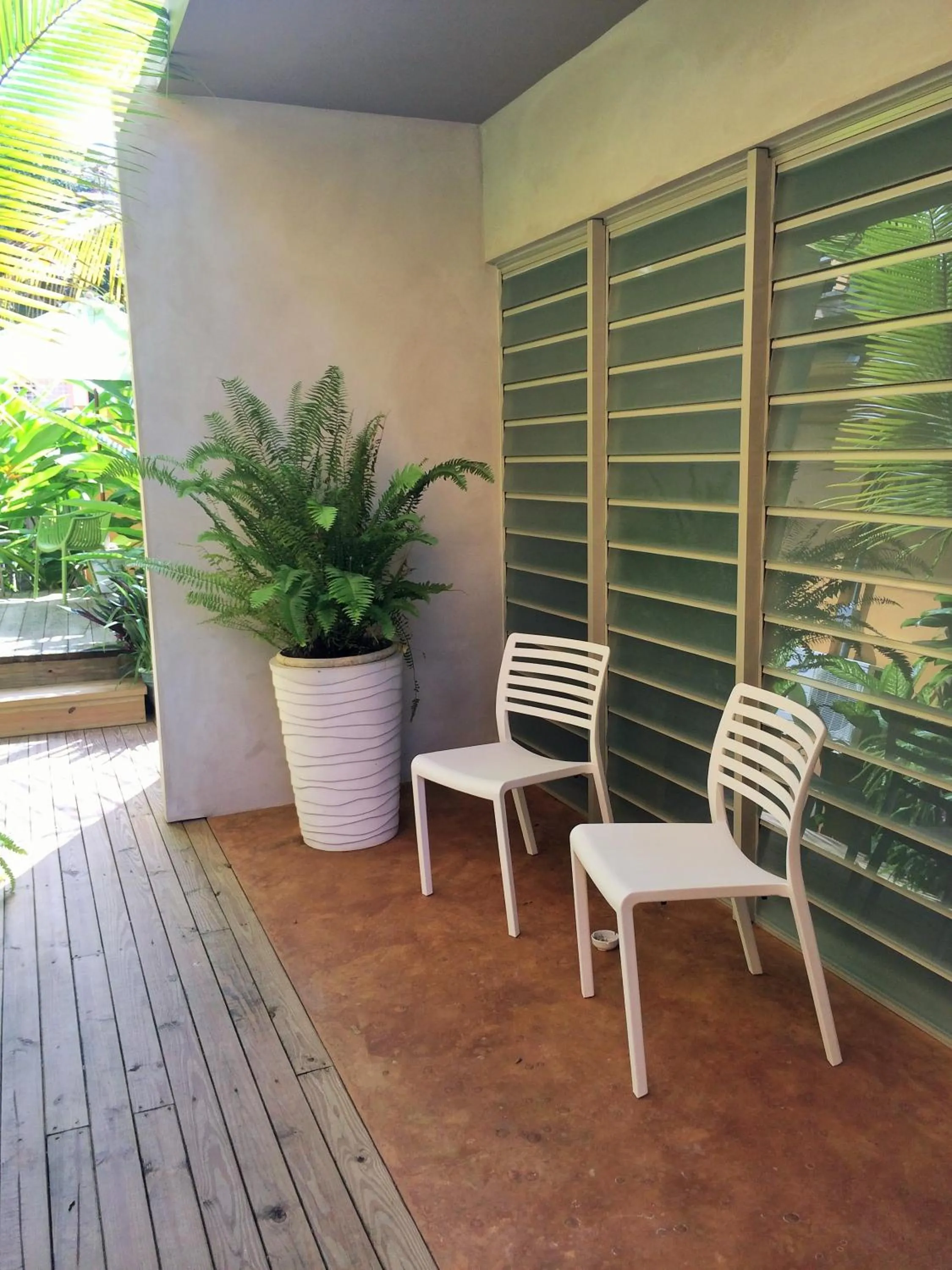 Patio in Casa de Amistad Guesthouse