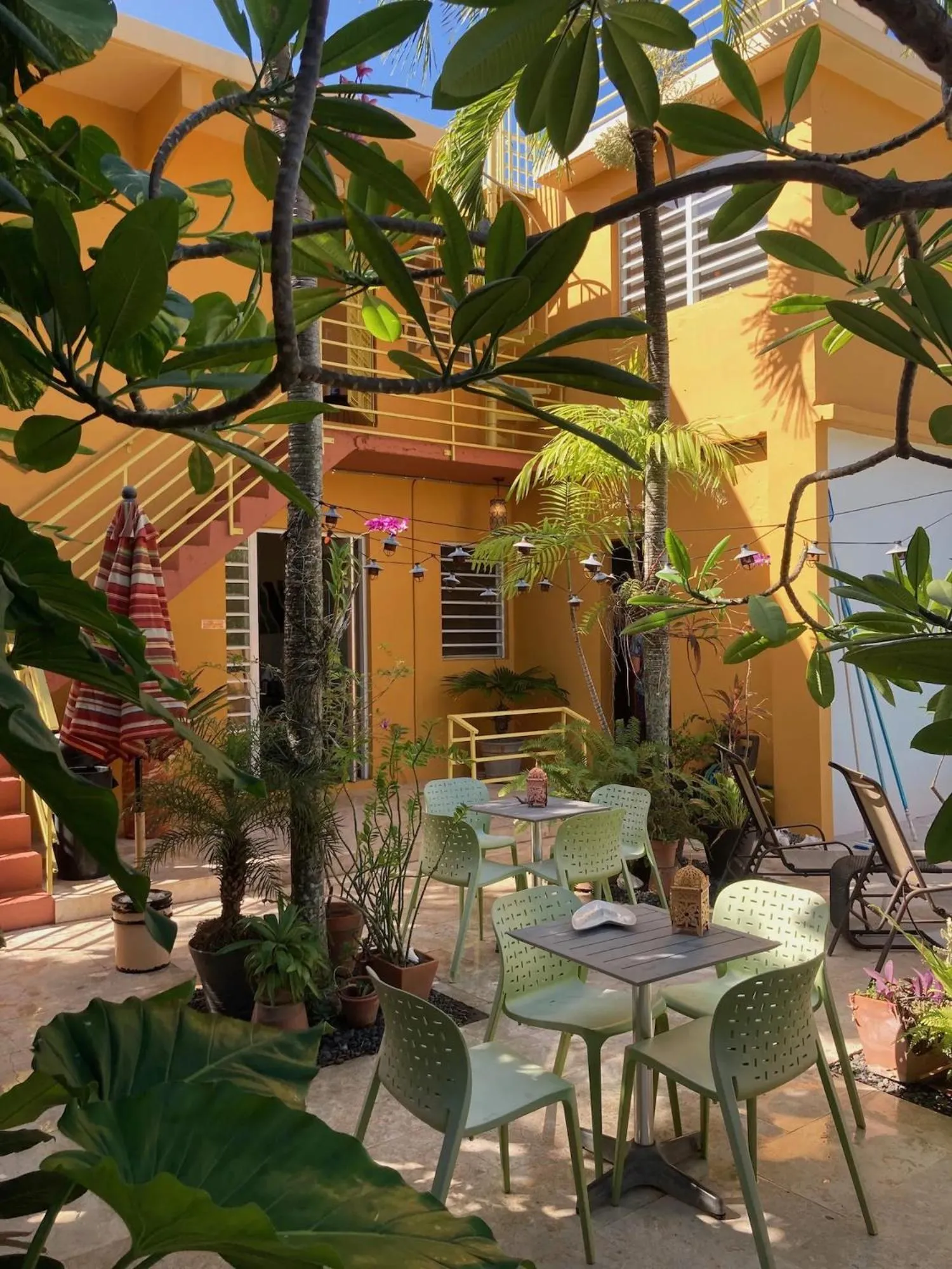 Patio in Casa de Amistad Guesthouse