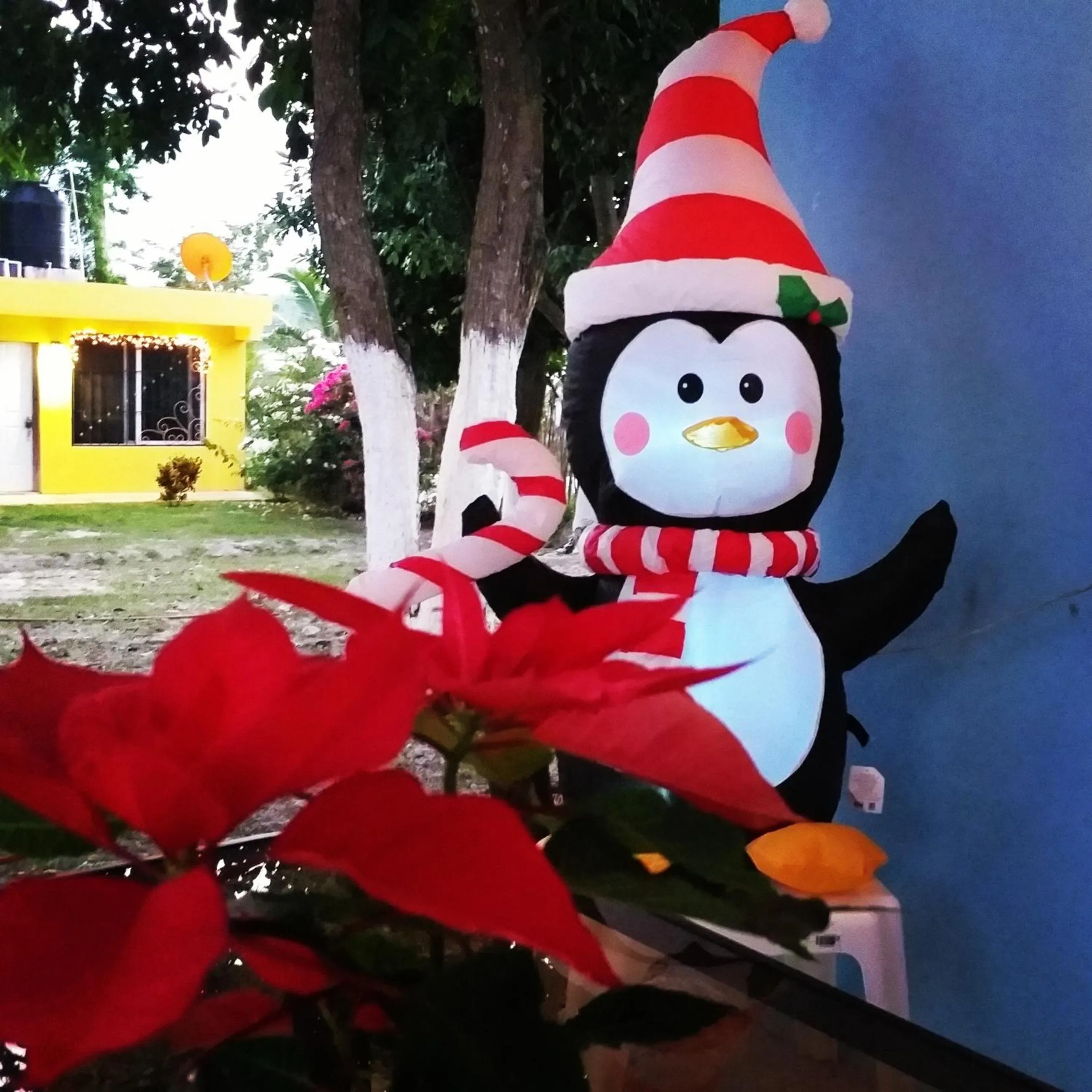 Otoch Béek Calakmul