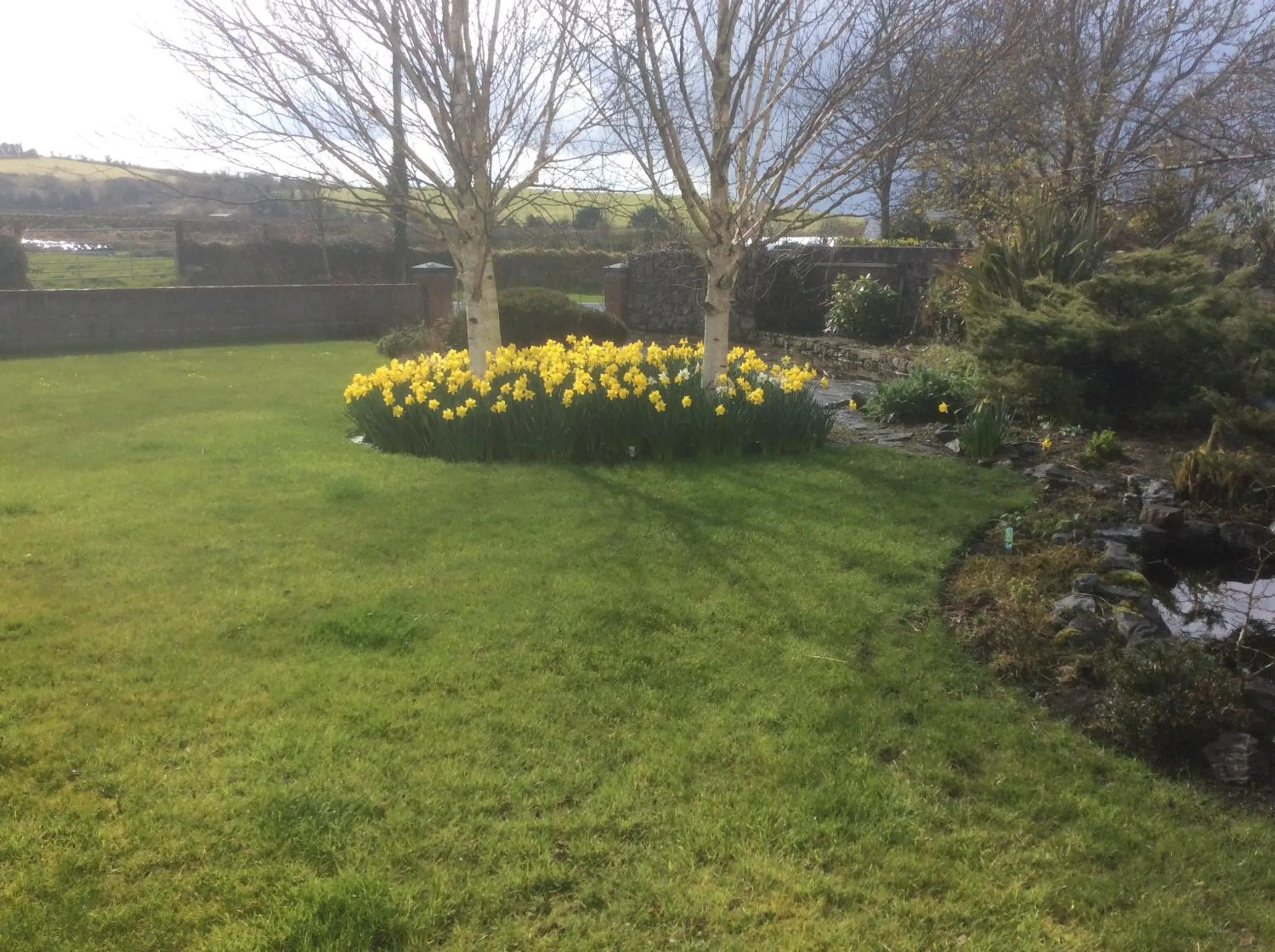 Rosdarrig Bed & Breakfast