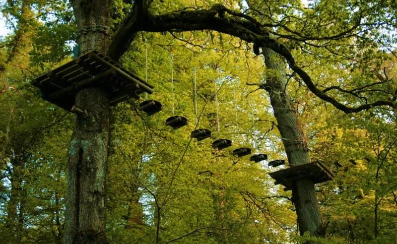 Rosdarrig Bed & Breakfast